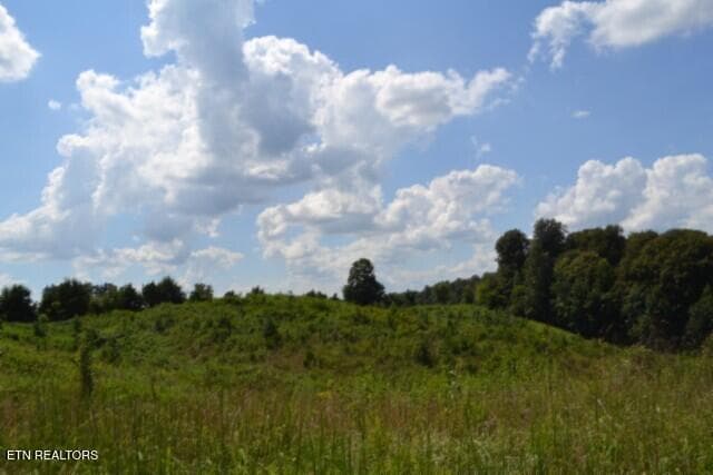 DSC_0013 - Lot 22 Landing Lane, Smithville, TN 37166, Smithville