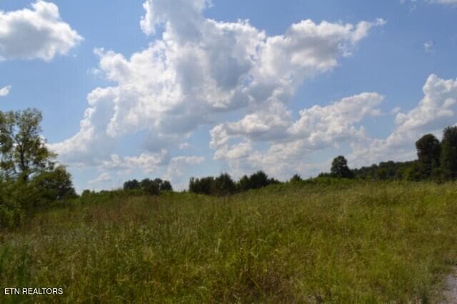 DSC_0018 - Lot 22 Landing Lane, Smithville, TN 37166, Smithville