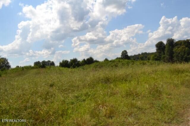 DSC_0020 - Lot 22 Landing Lane, Smithville, TN 37166, Smithville