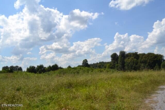 DSC_0021 - Lot 22 Landing Lane, Smithville, TN 37166, Smithville