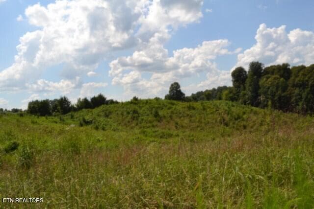 DSC_0022 - Lot 22 Landing Lane, Smithville, TN 37166, Smithville