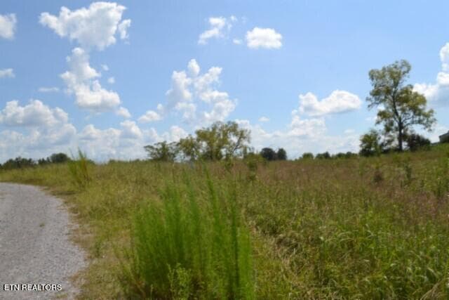 DSC_0002 - Lot 22 Landing Lane, Smithville, TN 37166, Smithville