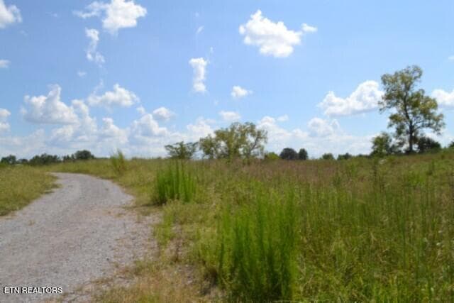 DSC_0014 - Lot 22 Landing Lane, Smithville, TN 37166, Smithville