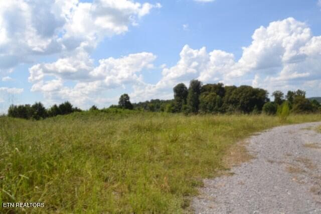 DSC_0019 - Lot 22 Landing Lane, Smithville, TN 37166, Smithville