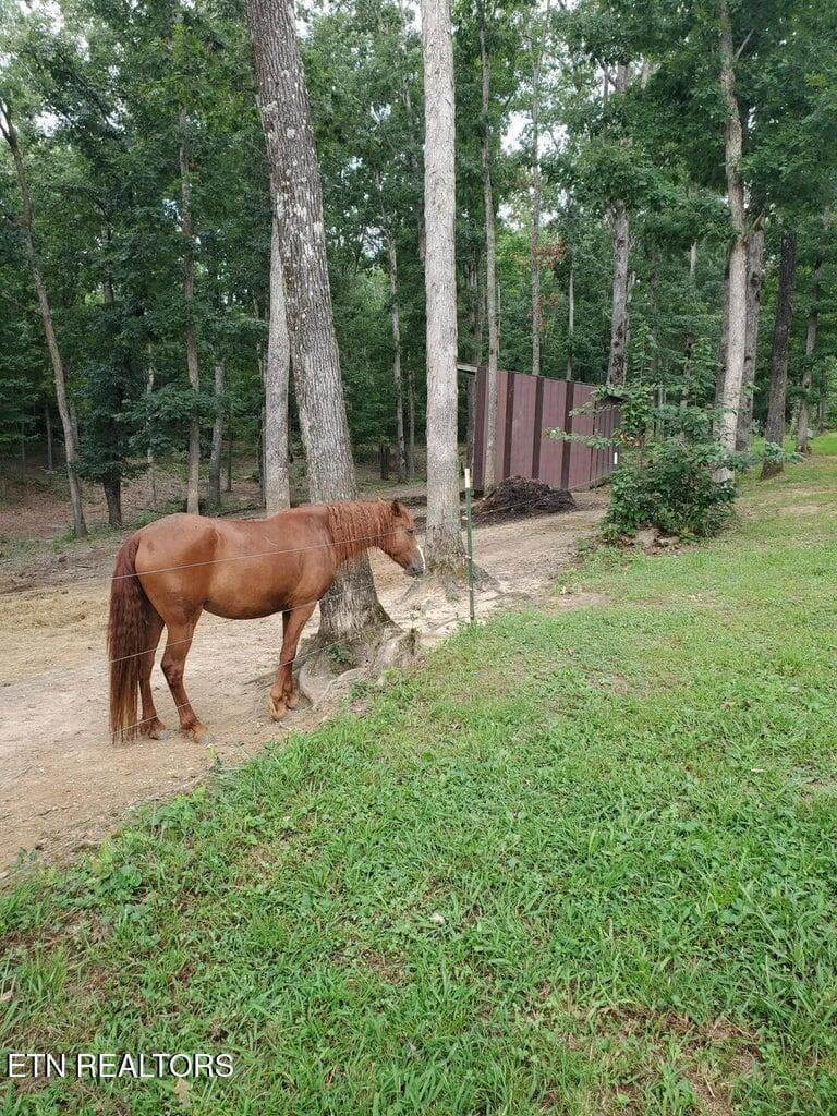 20260828172315474412000000-o - 103 Stooping Oak Rd, Dunlap, TN 37327