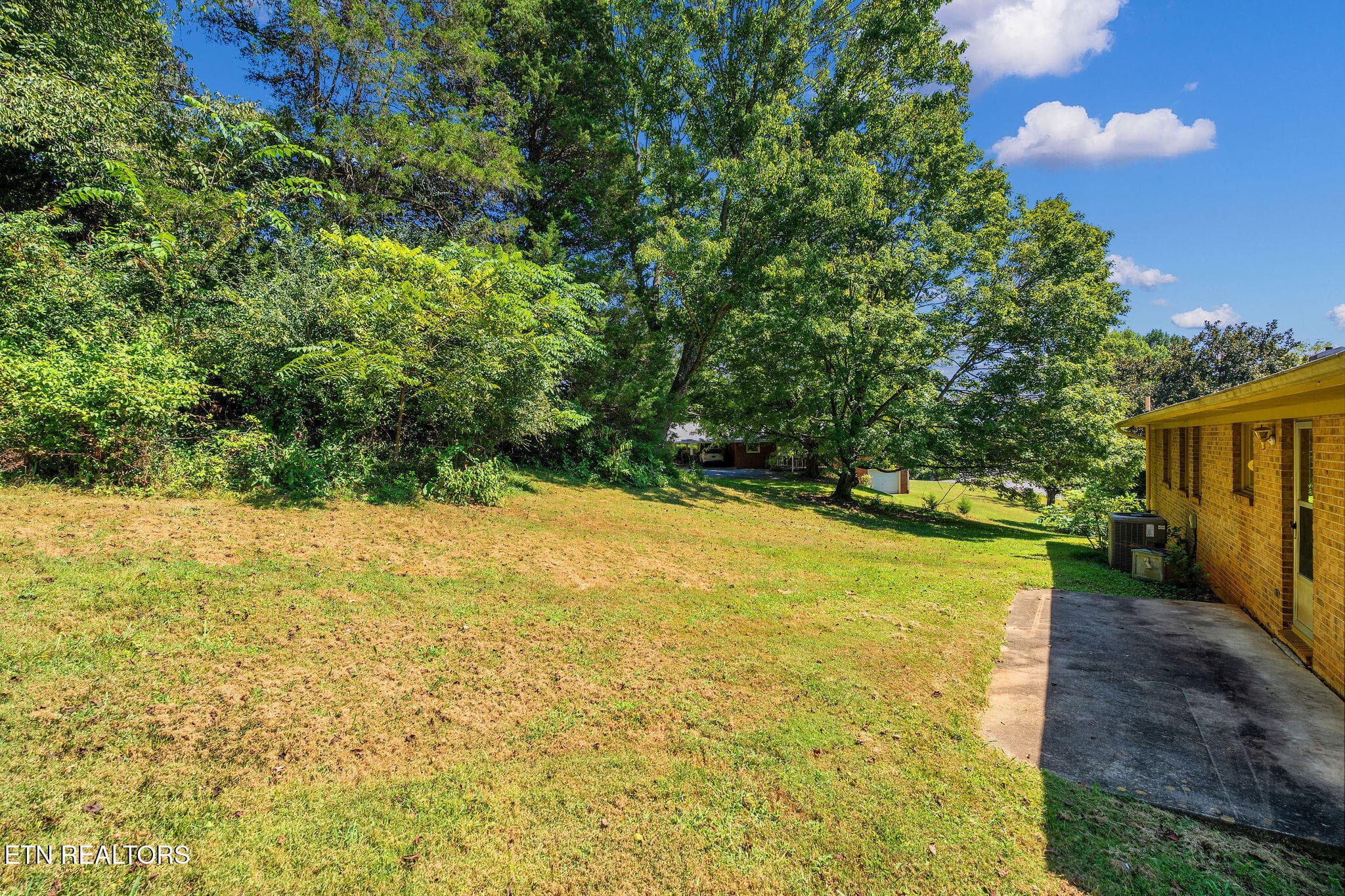 Lots of privacy. - 220 Brookfield Drive, Kingsport, TN 37663, Kingsport