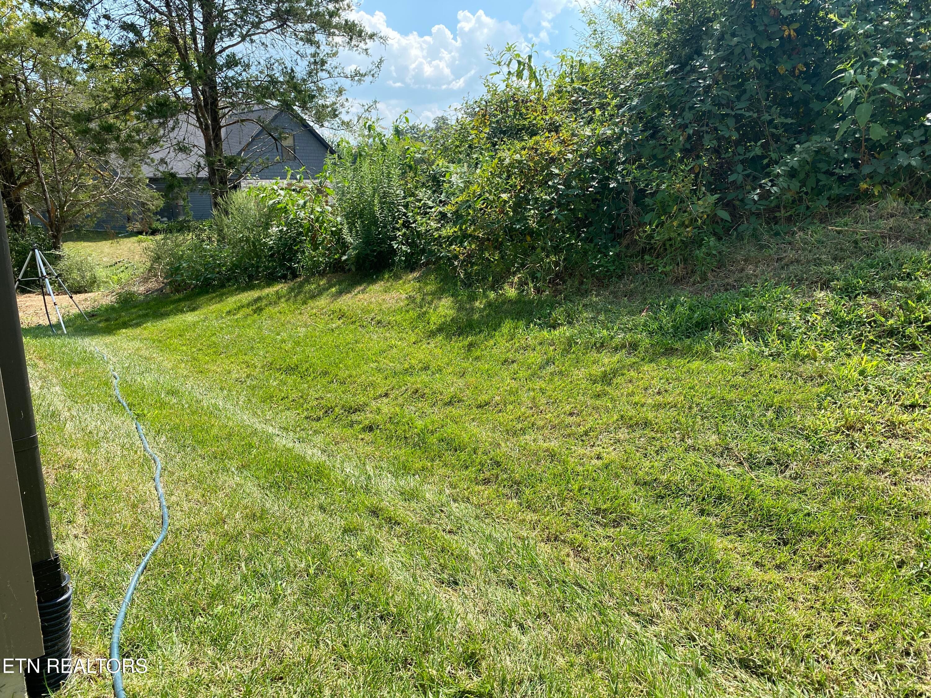 image - 3479 Sparks Scenic Way, Knoxville, TN 37931, Knoxville