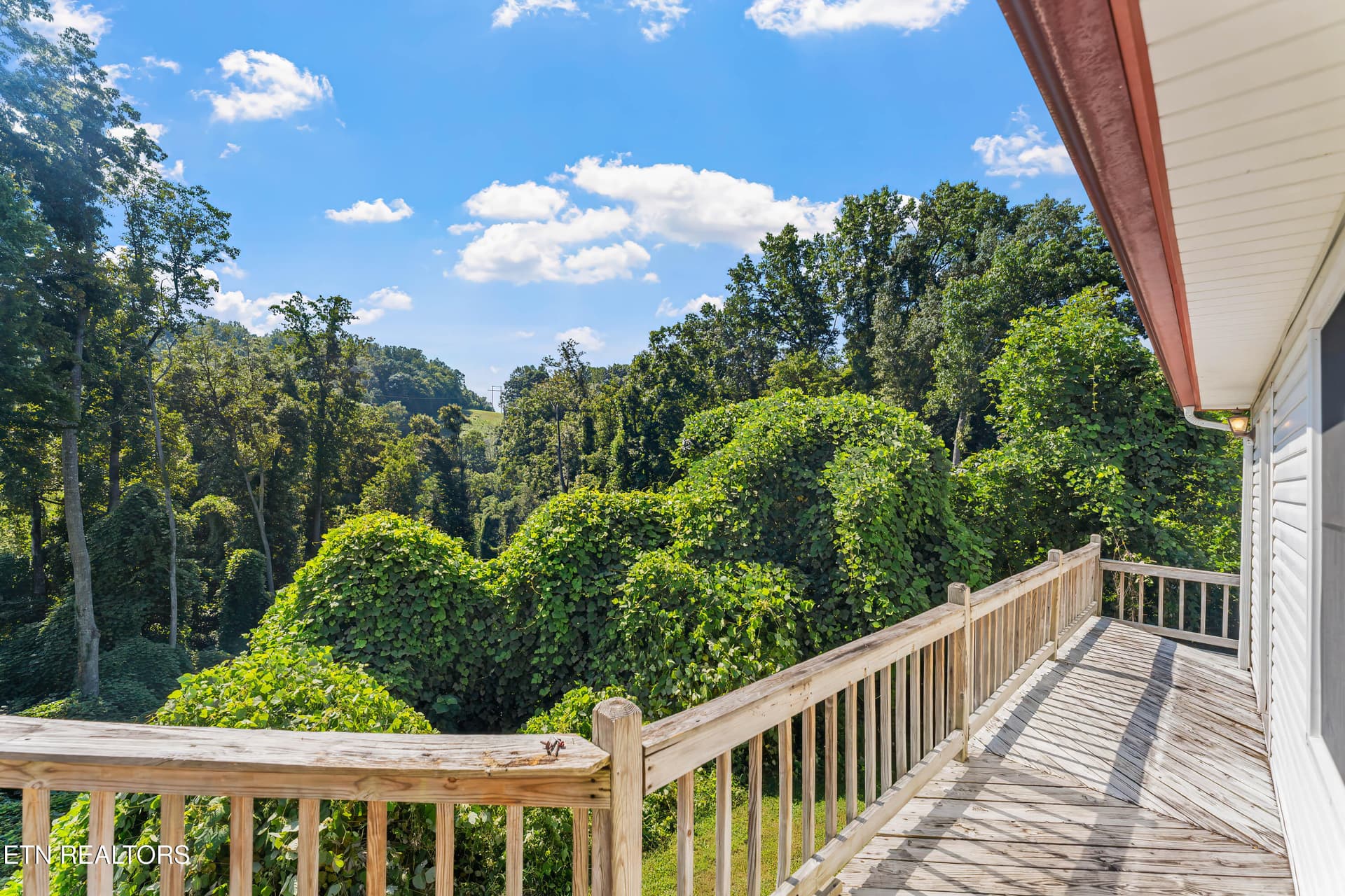 Photo 28 - 152 Andrews Lane, Caryville, TN 37714