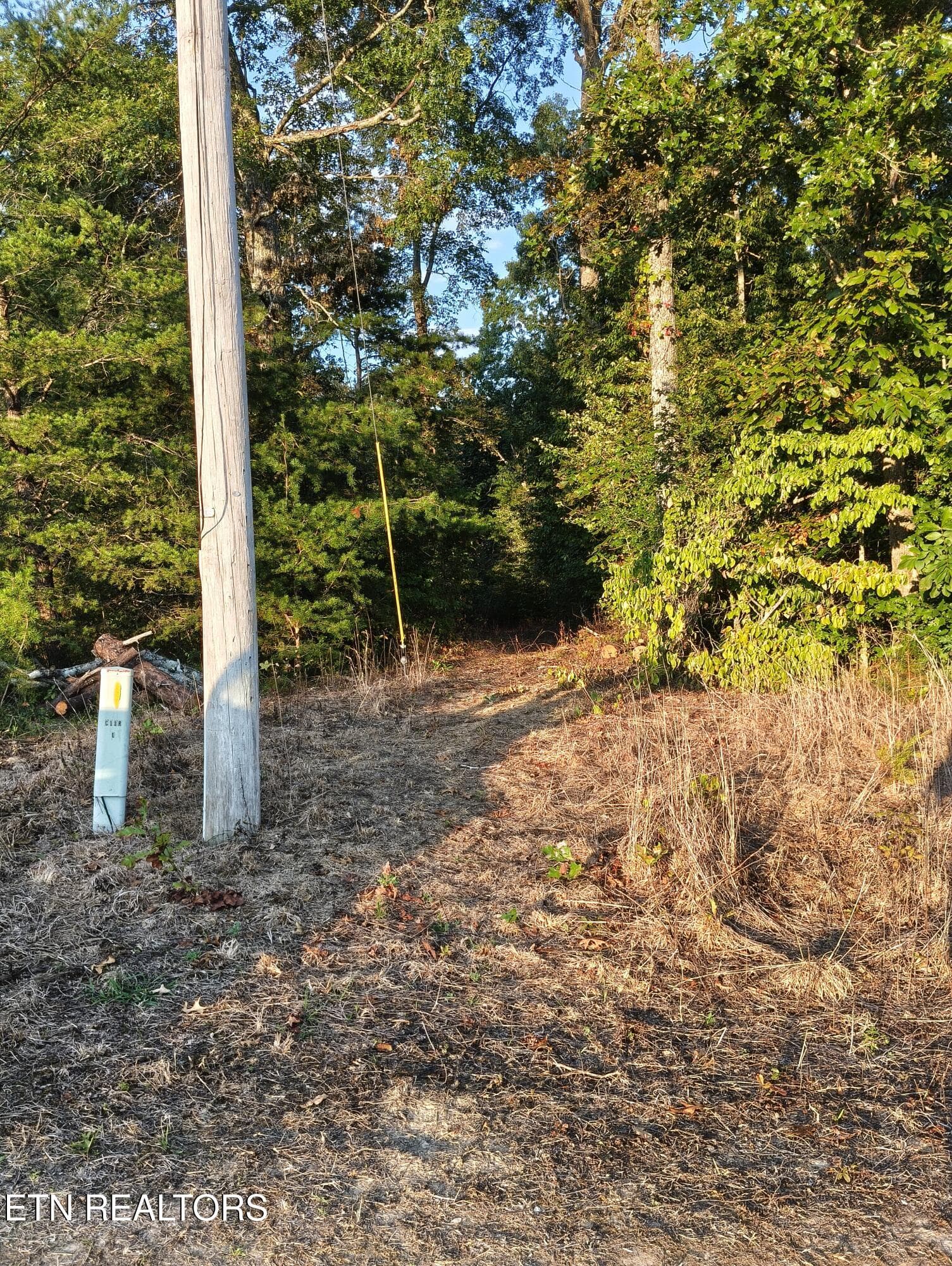 1000001461 - Lot 10 Holly Drive, Pikeville, TN 37367