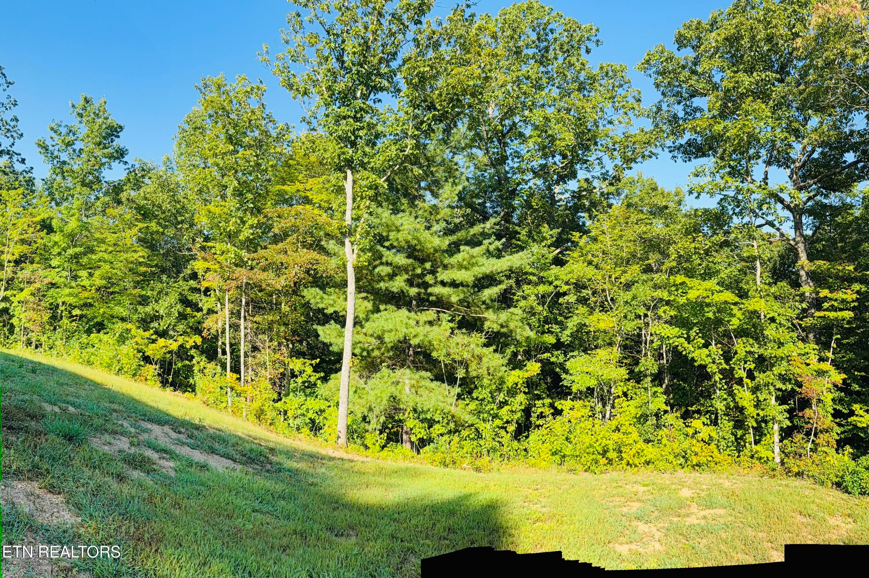 IMG_0419 - 386 Higby Pvt Rd, Robbins, TN 37852