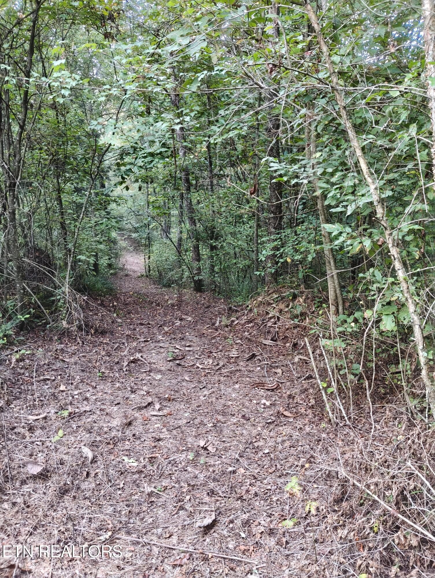 Lot 10 Holly Dr-10 - Lot 10 Holly Drive, Pikeville, TN 37367