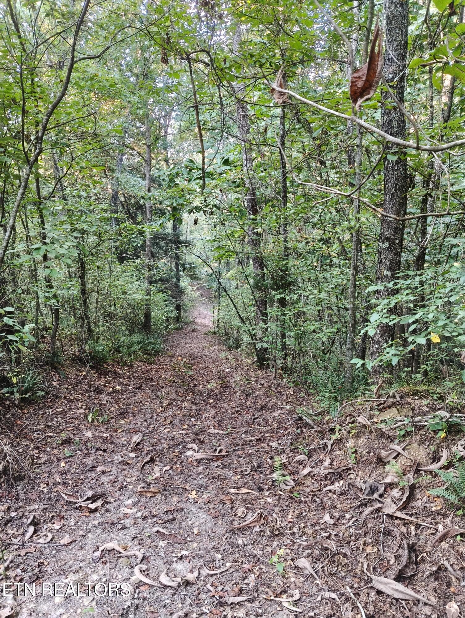 Lot 10 Holly Dr-11 - Lot 10 Holly Drive, Pikeville, TN 37367