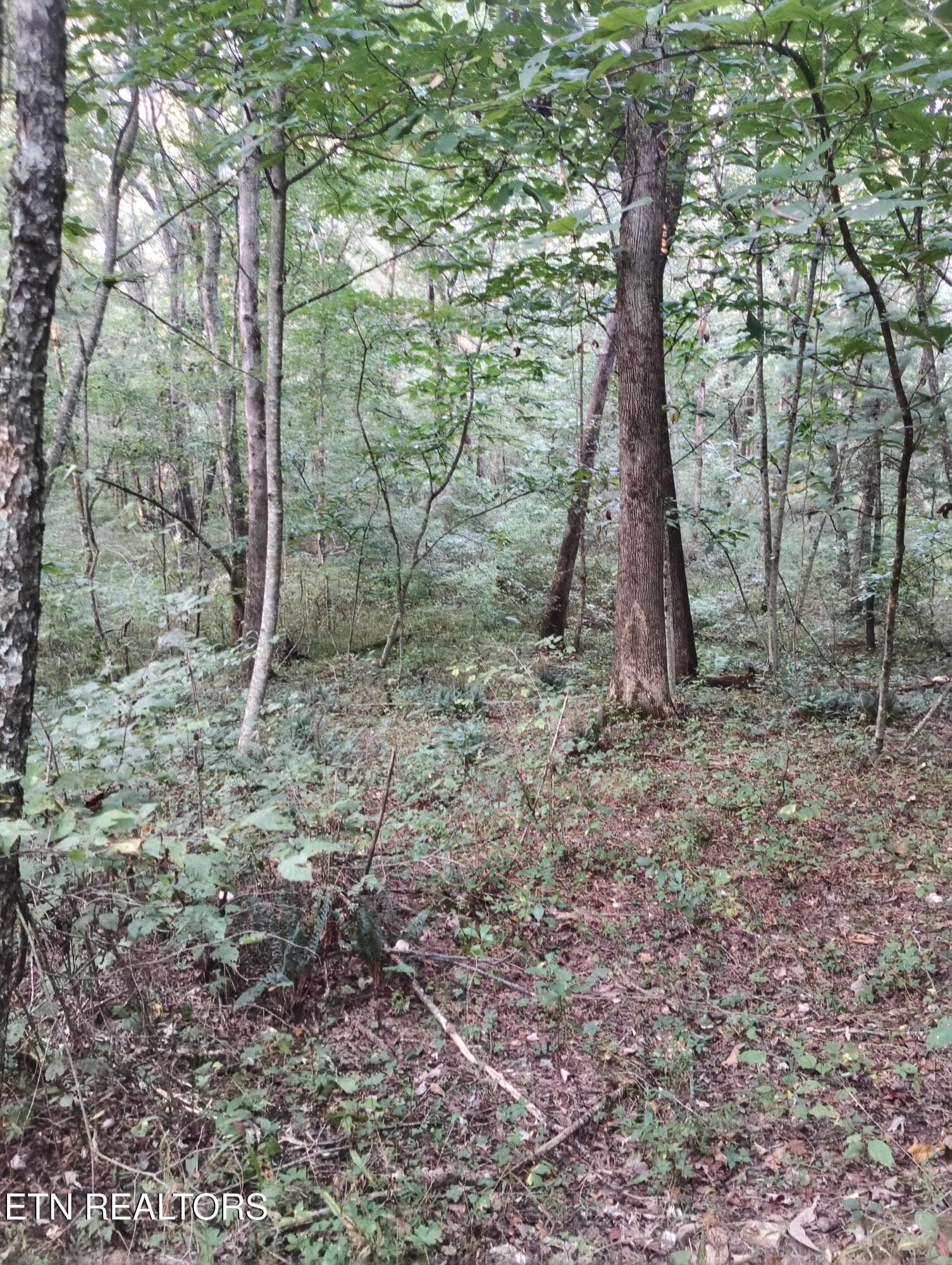 Lot 10 Holly Dr-12 - Lot 10 Holly Drive, Pikeville, TN 37367