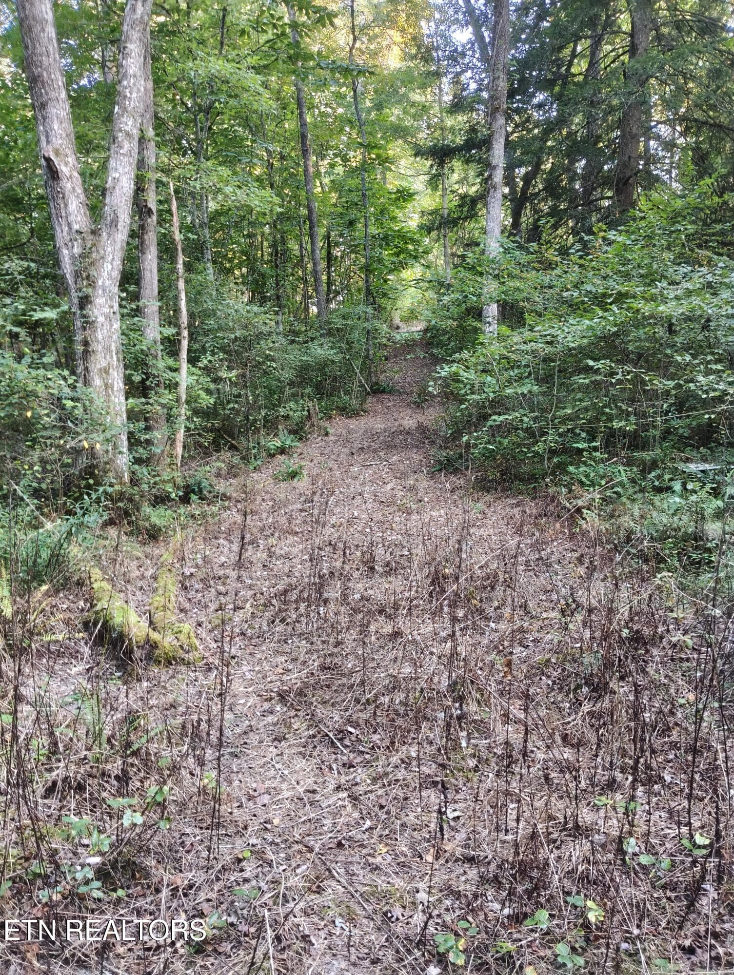 Lot 10 Holly Dr-13 - Lot 10 Holly Drive, Pikeville, TN 37367