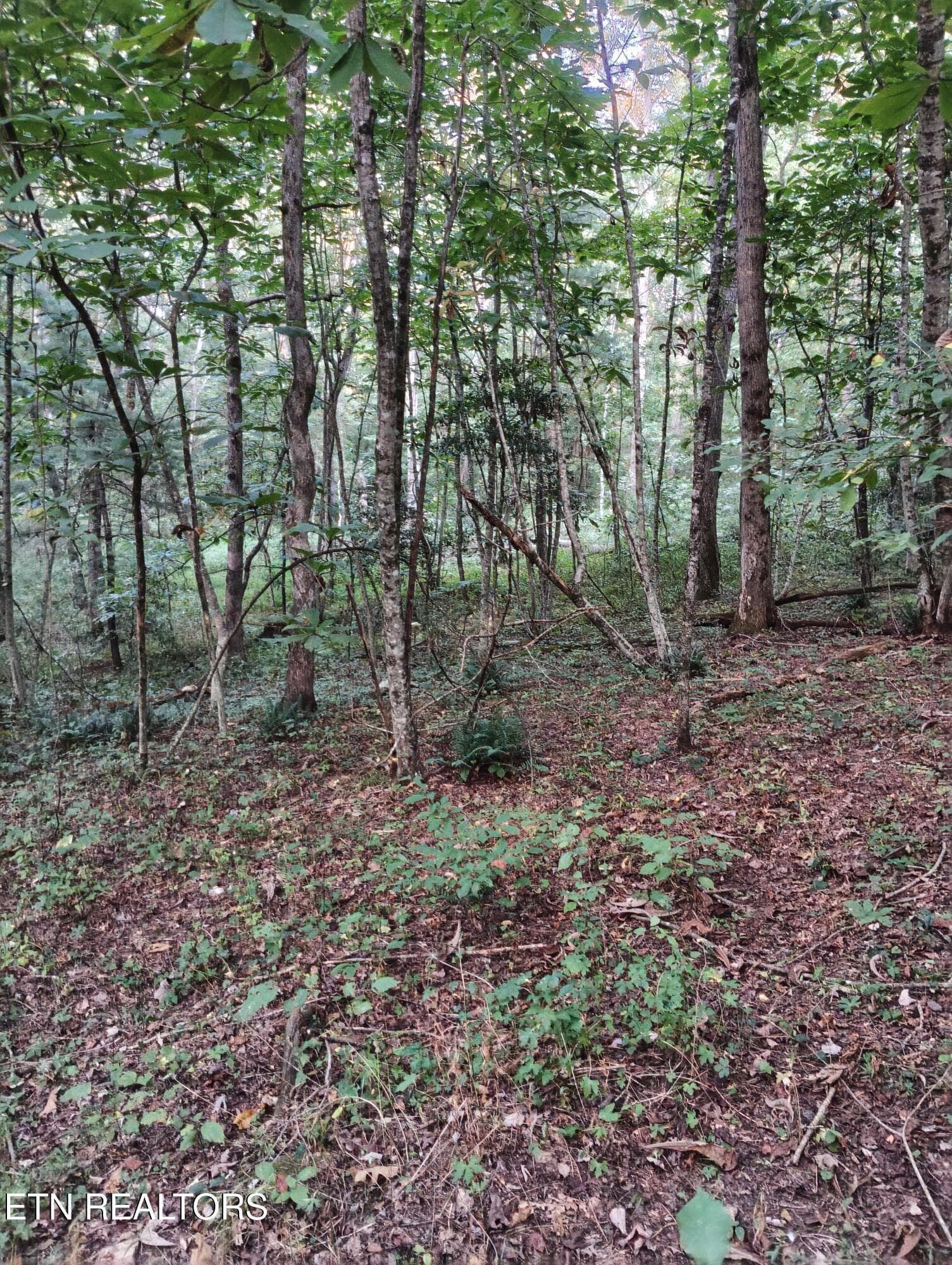 Lot 10 Holly Dr-14 - Lot 10 Holly Drive, Pikeville, TN 37367