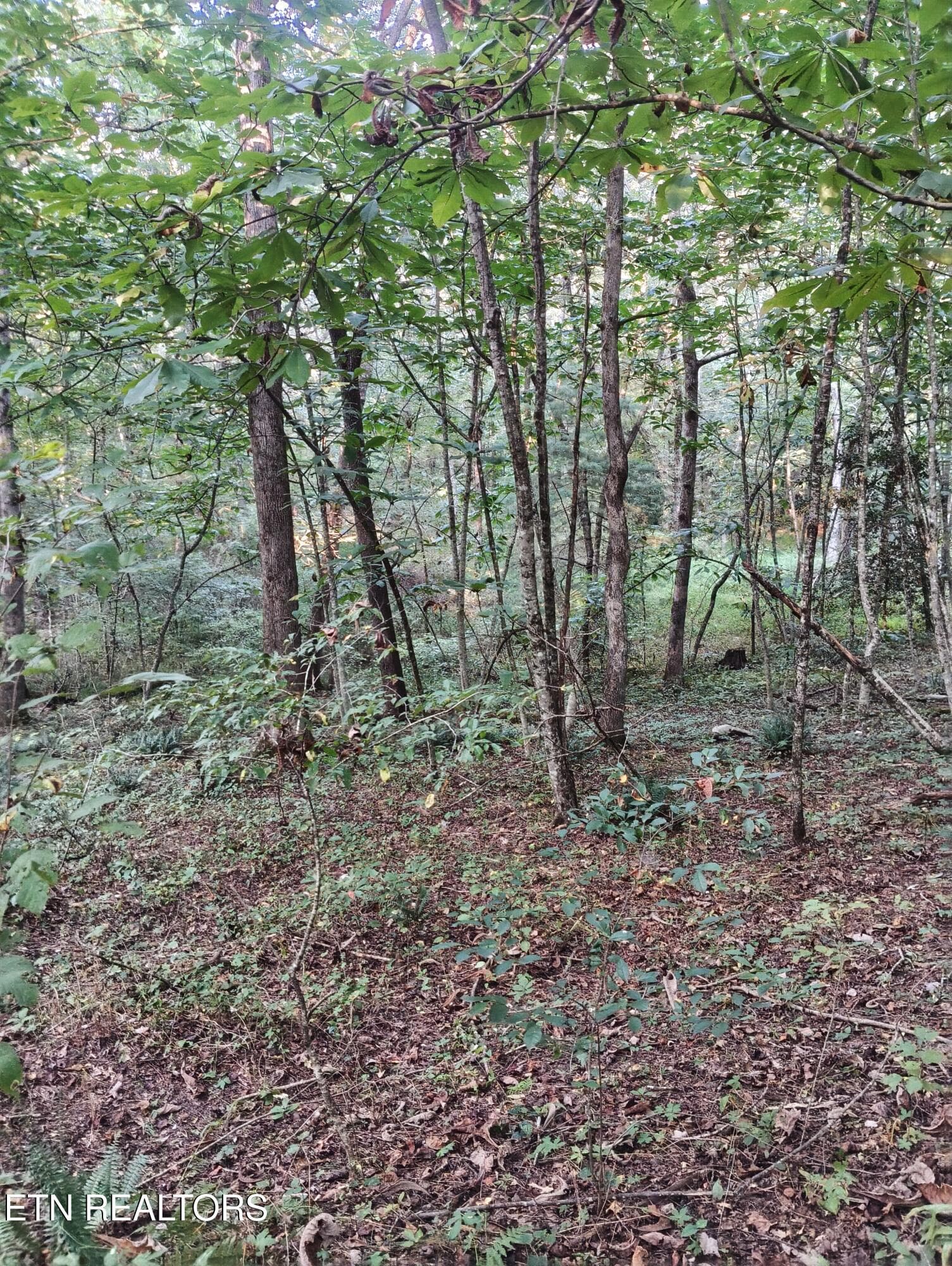Lot 10 Holly Dr-15 - Lot 10 Holly Drive, Pikeville, TN 37367