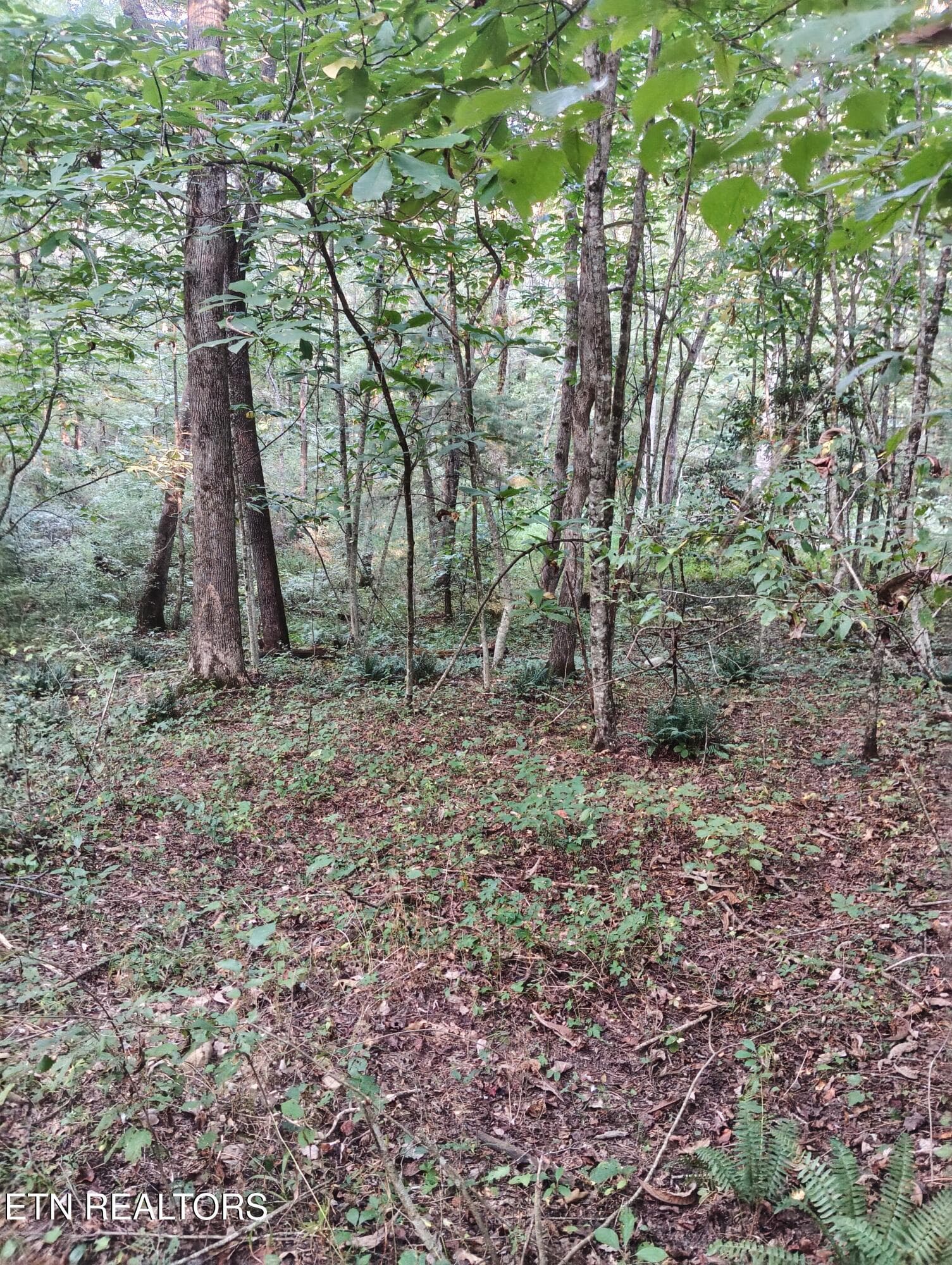Lot 10 Holly Dr-16 - Lot 10 Holly Drive, Pikeville, TN 37367
