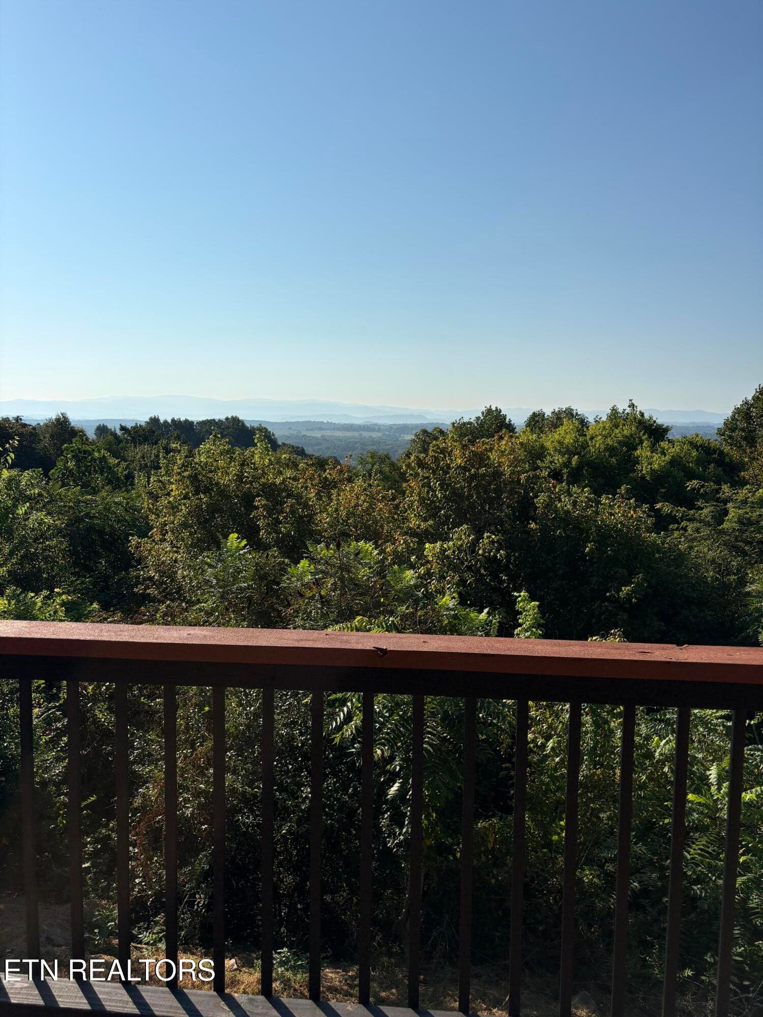 IMG_8106 - 1750 Hiwassee Rd, Sweetwater, TN 37874