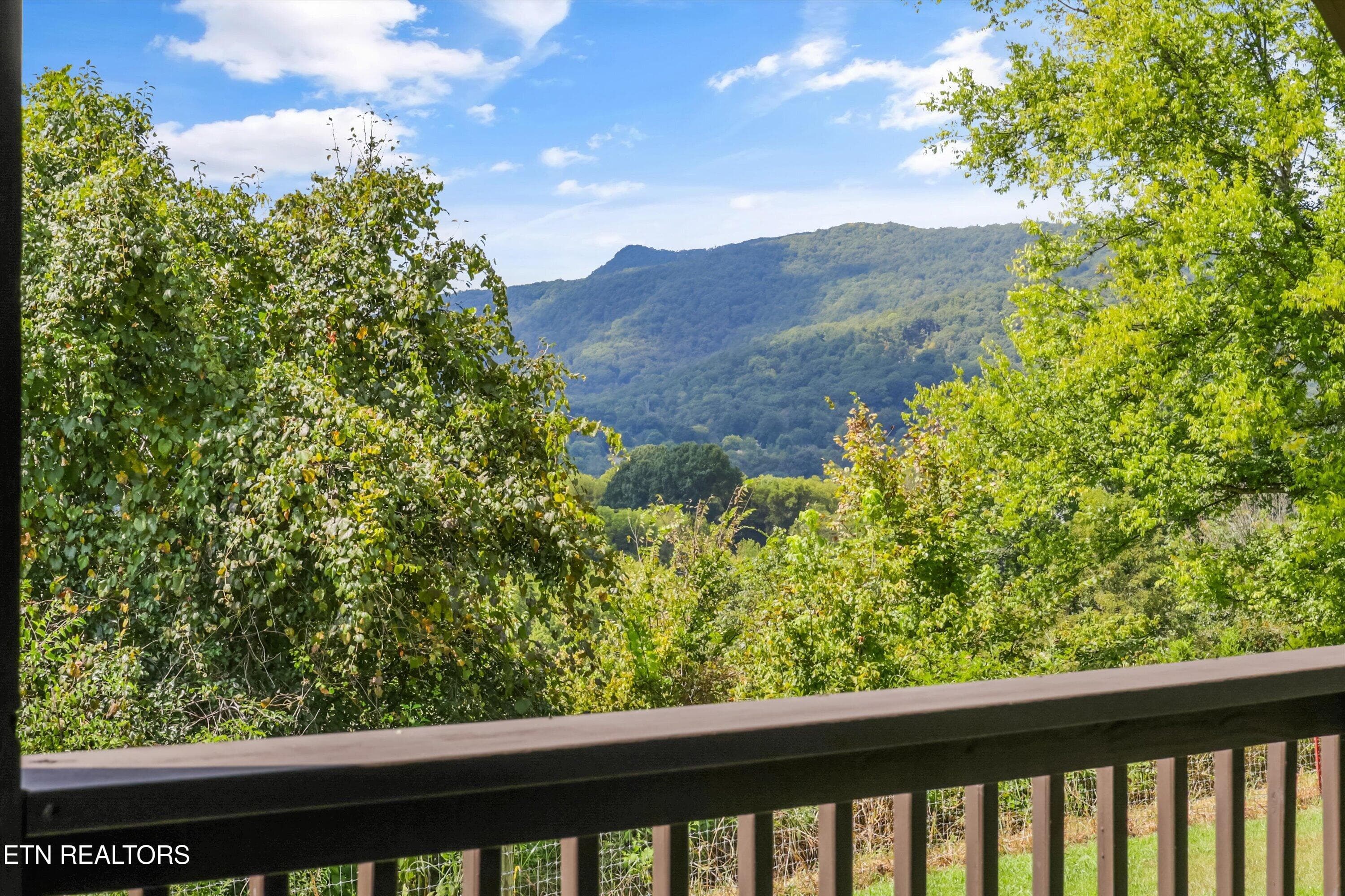 35-850 Mynatt Dr 39 - 850 Mynatt Drive, Blaine, TN 37709