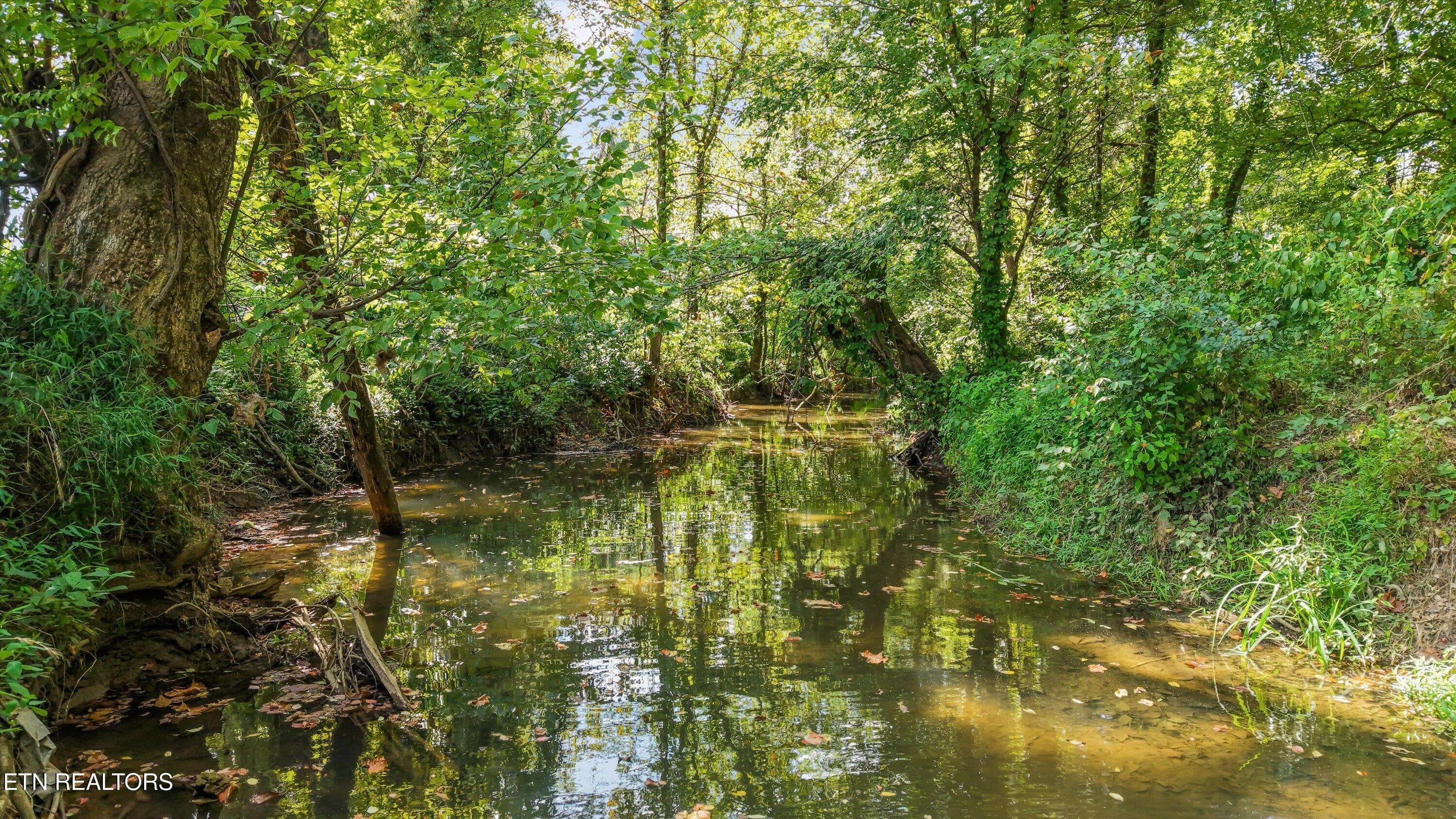 47-850 Mynatt Dr 48 - 850 Mynatt Drive, Blaine, TN 37709