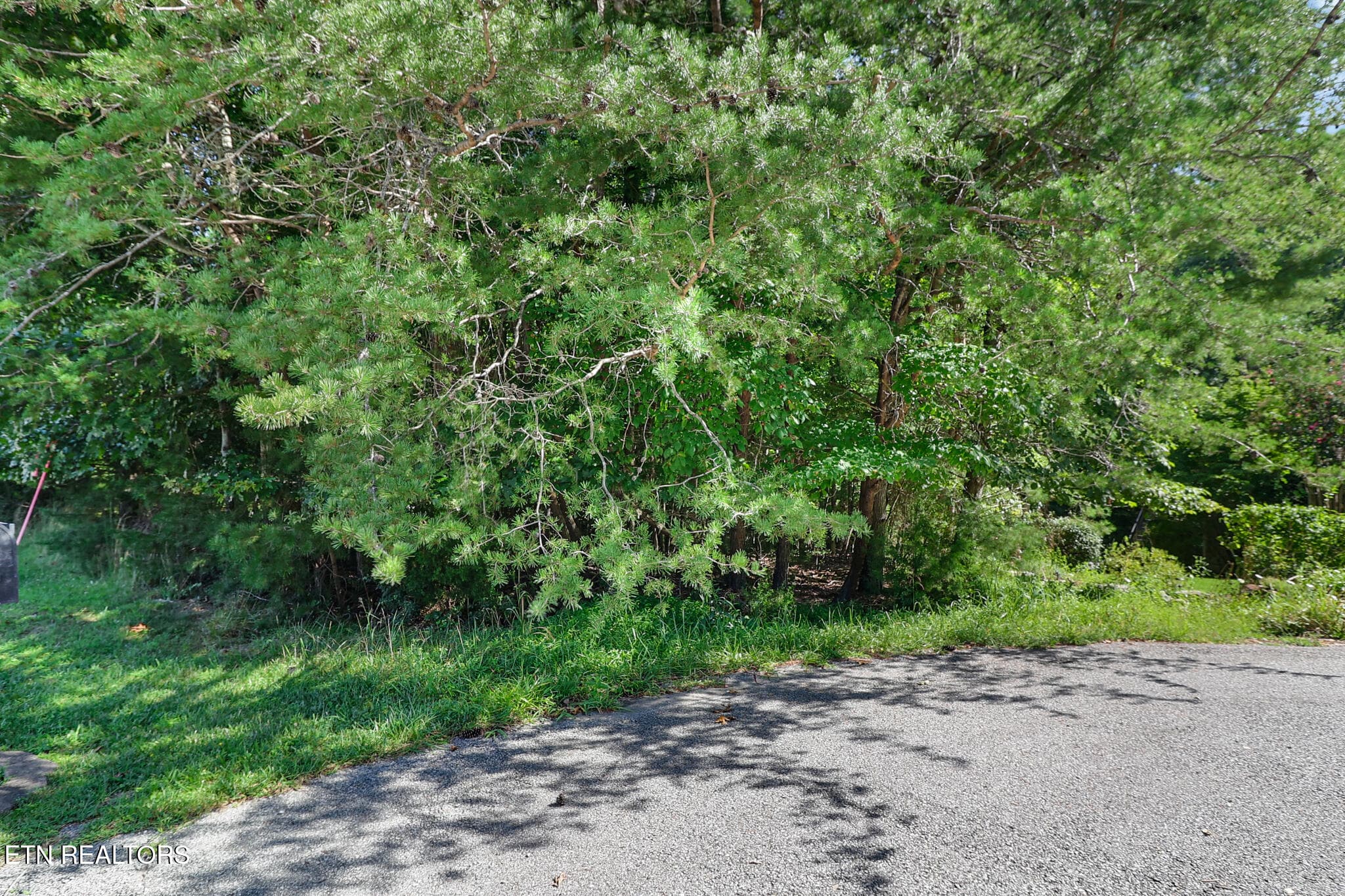 n44a0732-n44a0736 - Valarian Drive, Fairfield Glade, TN 38558