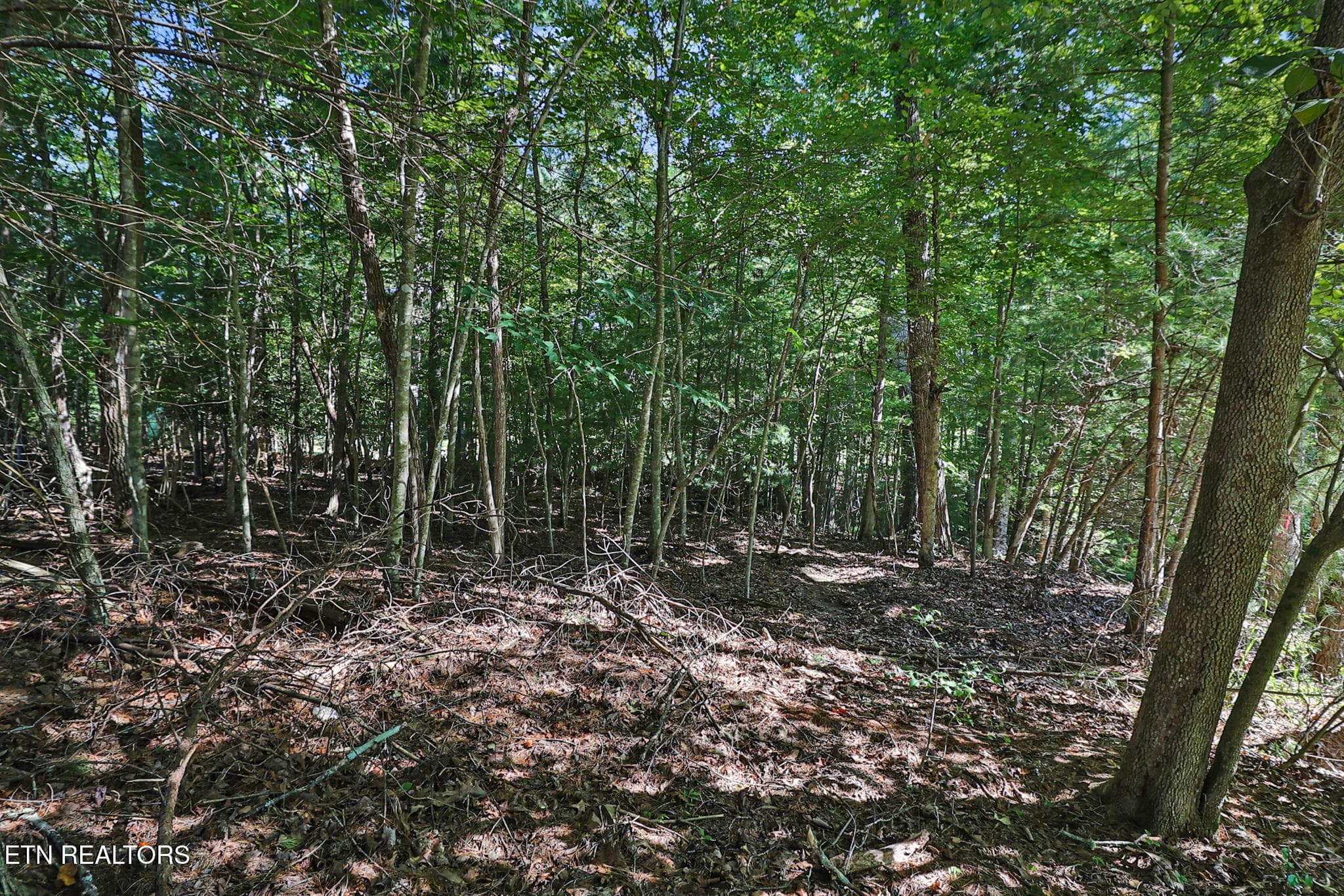 n44a0737-n44a0741 - Valarian Drive, Fairfield Glade, TN 38558