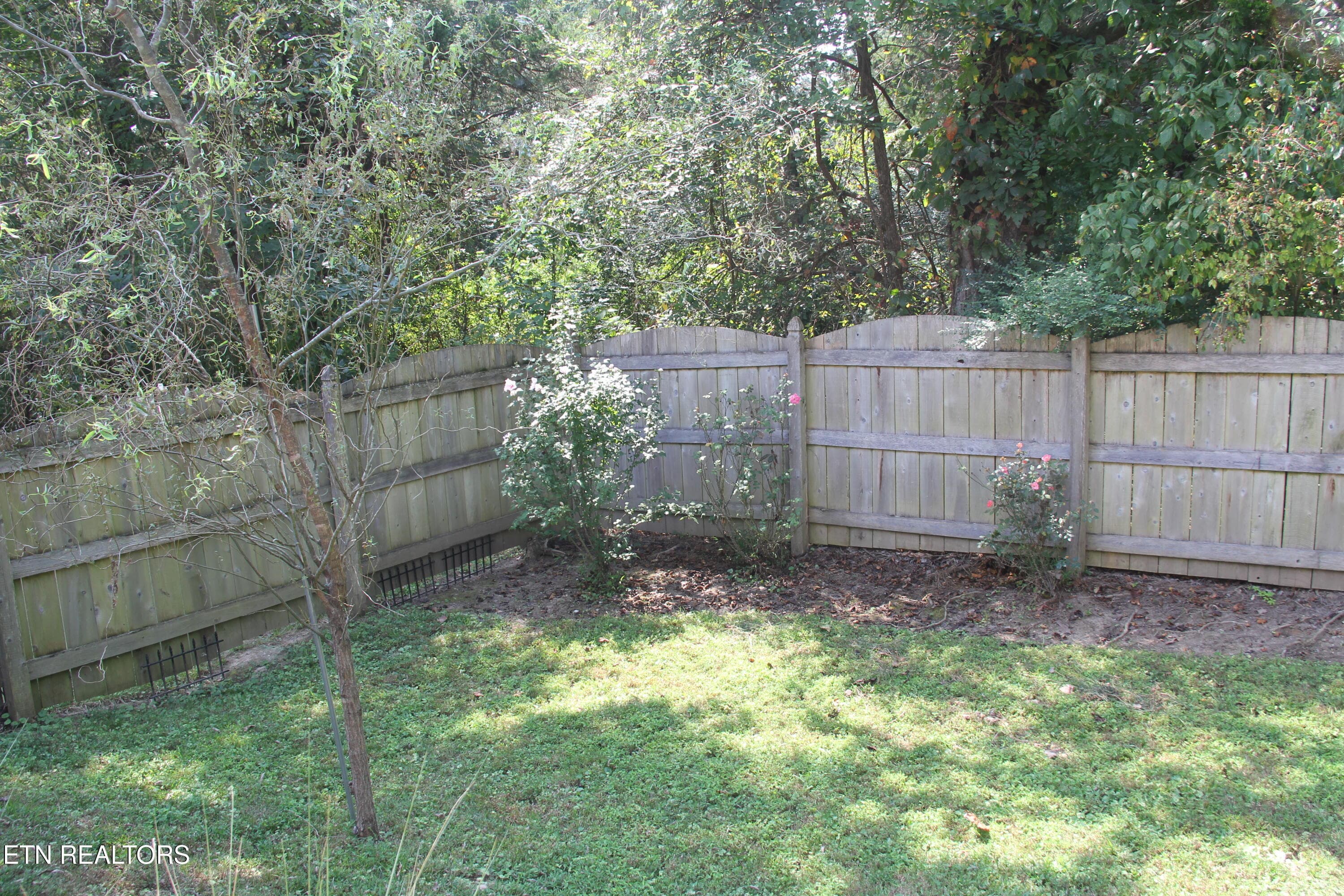 Fenced backyard - 5929 Rain Cloud Rd, Knoxville, TN 37918