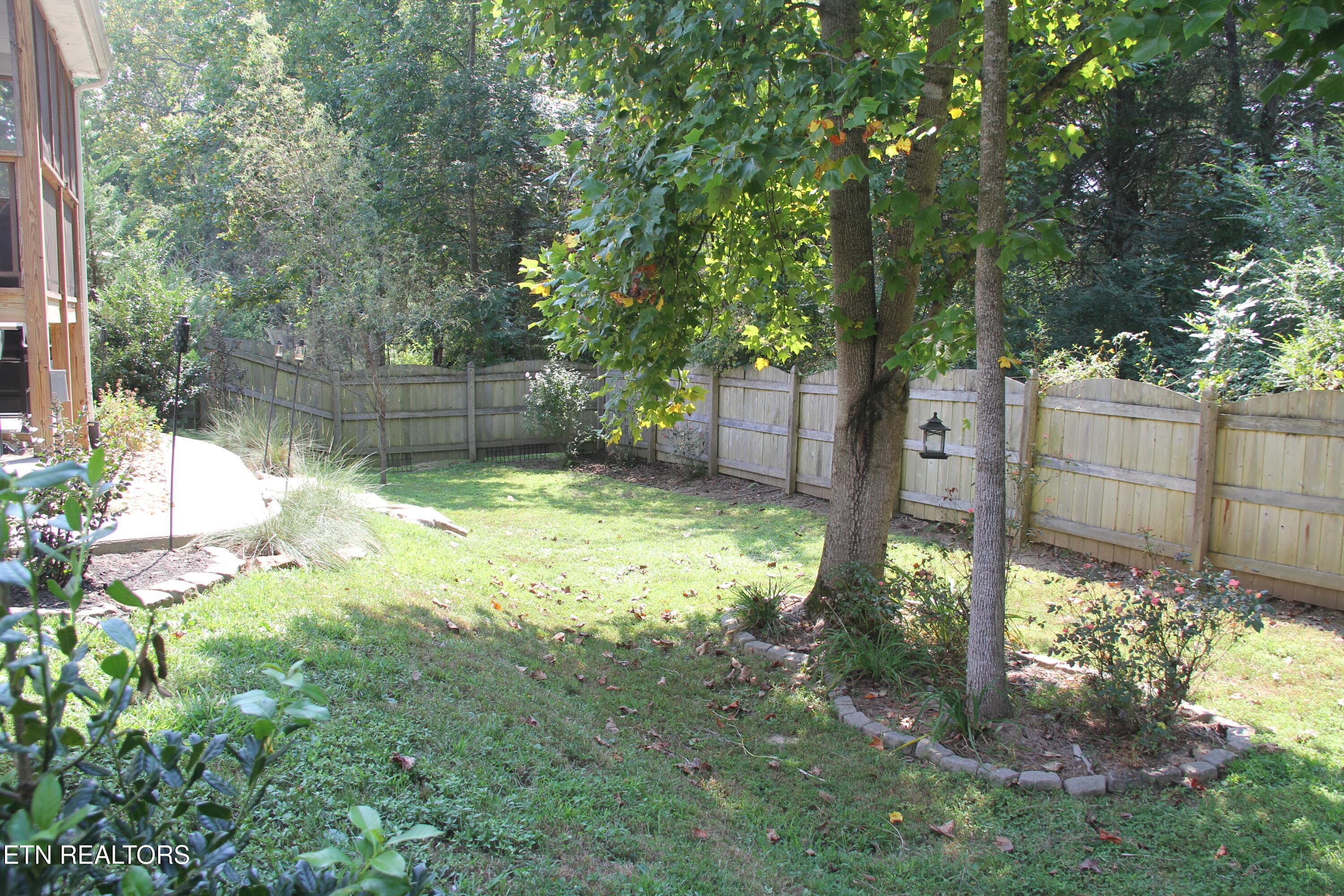Side yard - 5929 Rain Cloud Rd, Knoxville, TN 37918