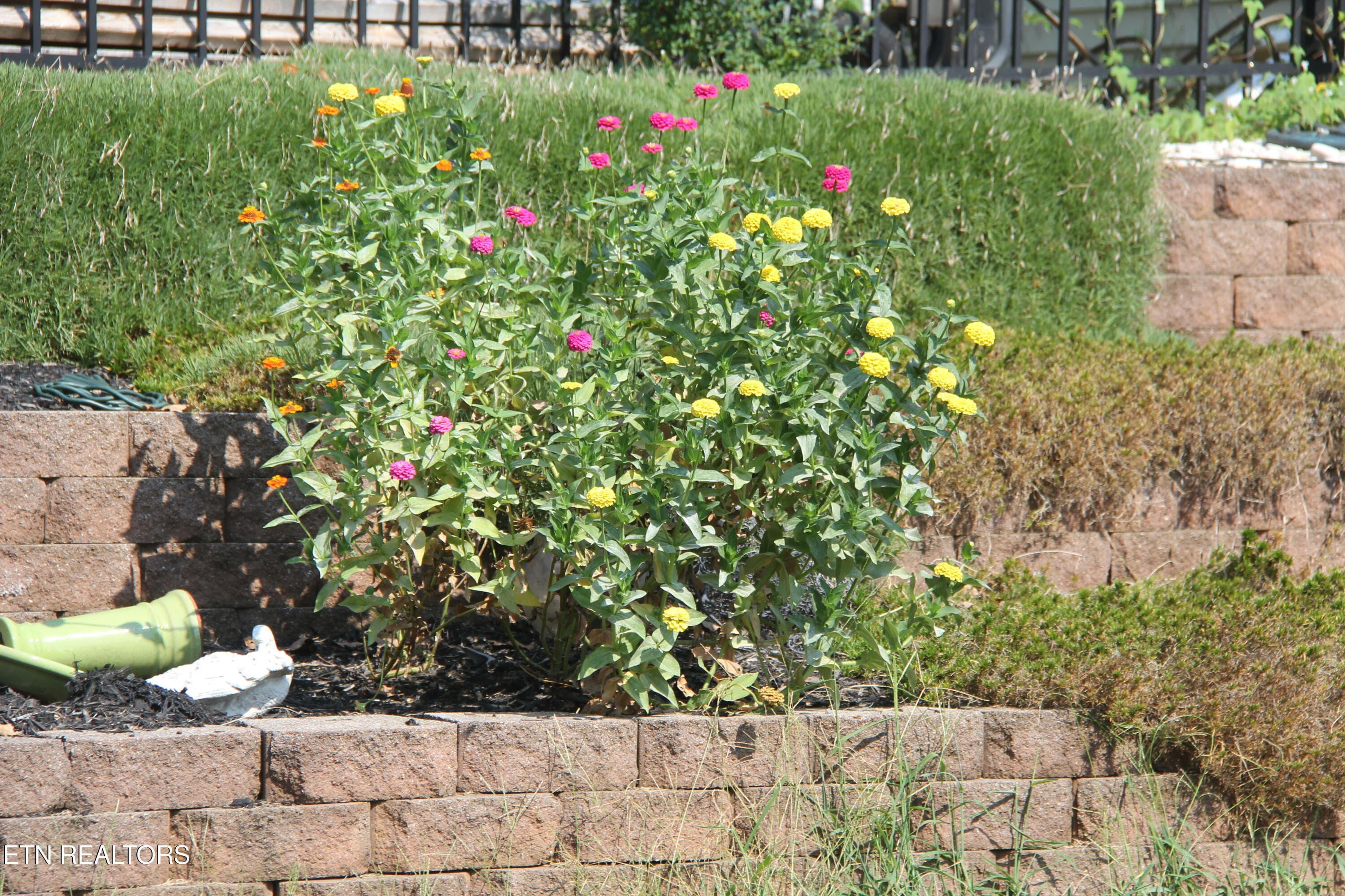 Extra landscaping - 5929 Rain Cloud Rd, Knoxville, TN 37918