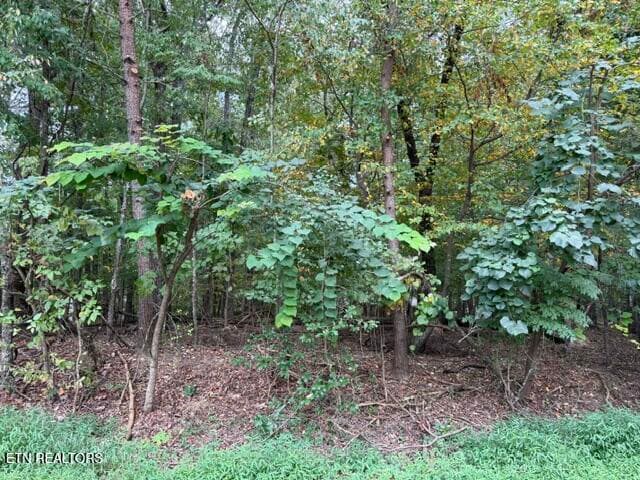 122 Ivy Lane, Fairfield Glade, TN 38558