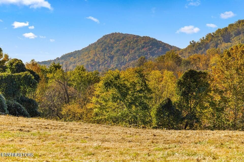 20221025040554921533000000-o - Colonial Lane, Rocky Top, TN 37769, Rocky Top