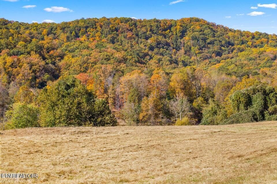 20221025040520454206000000-o - Colonial Lane, Rocky Top, TN 37769, Rocky Top