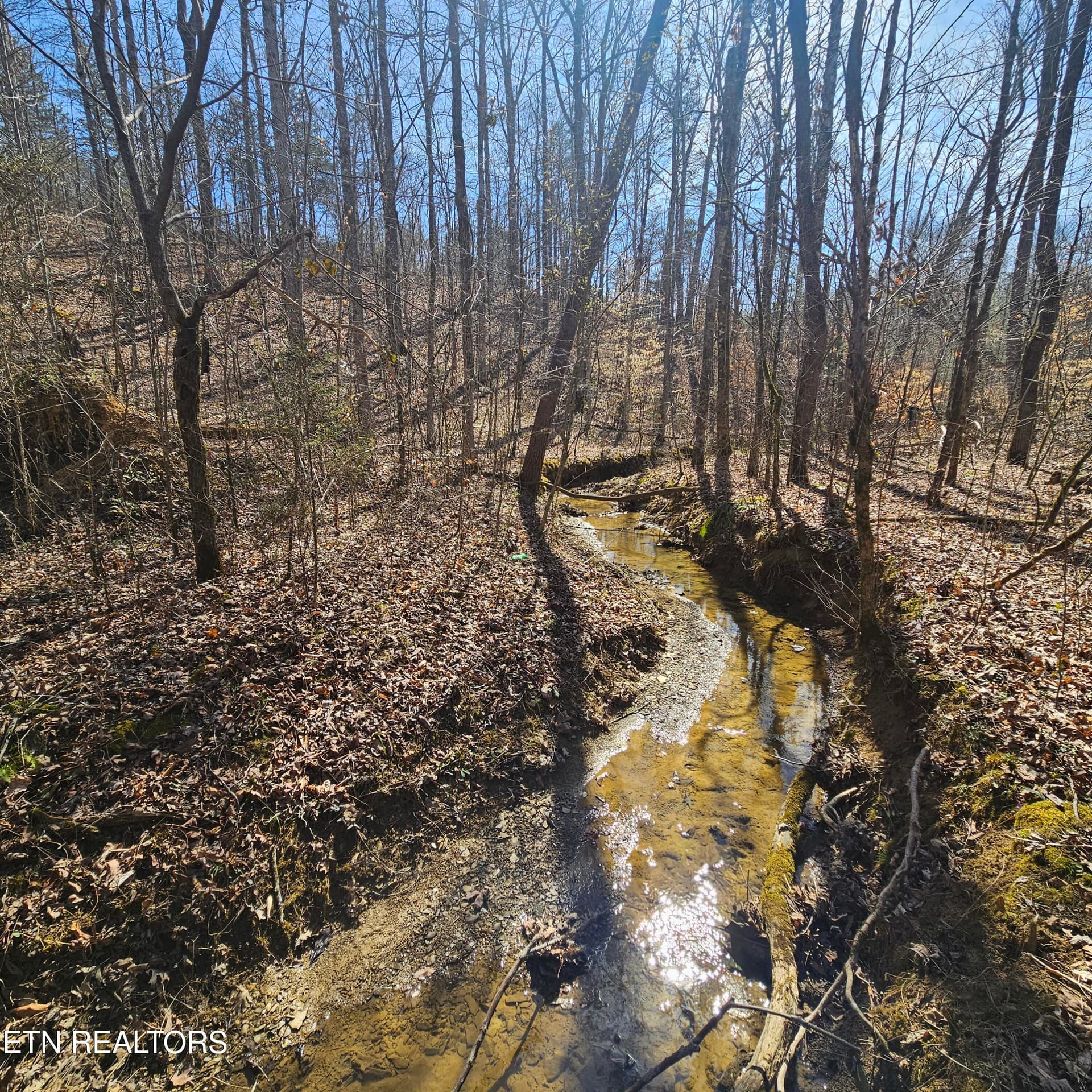 Lick Creek Rd, Tellico Plains, TN 37385