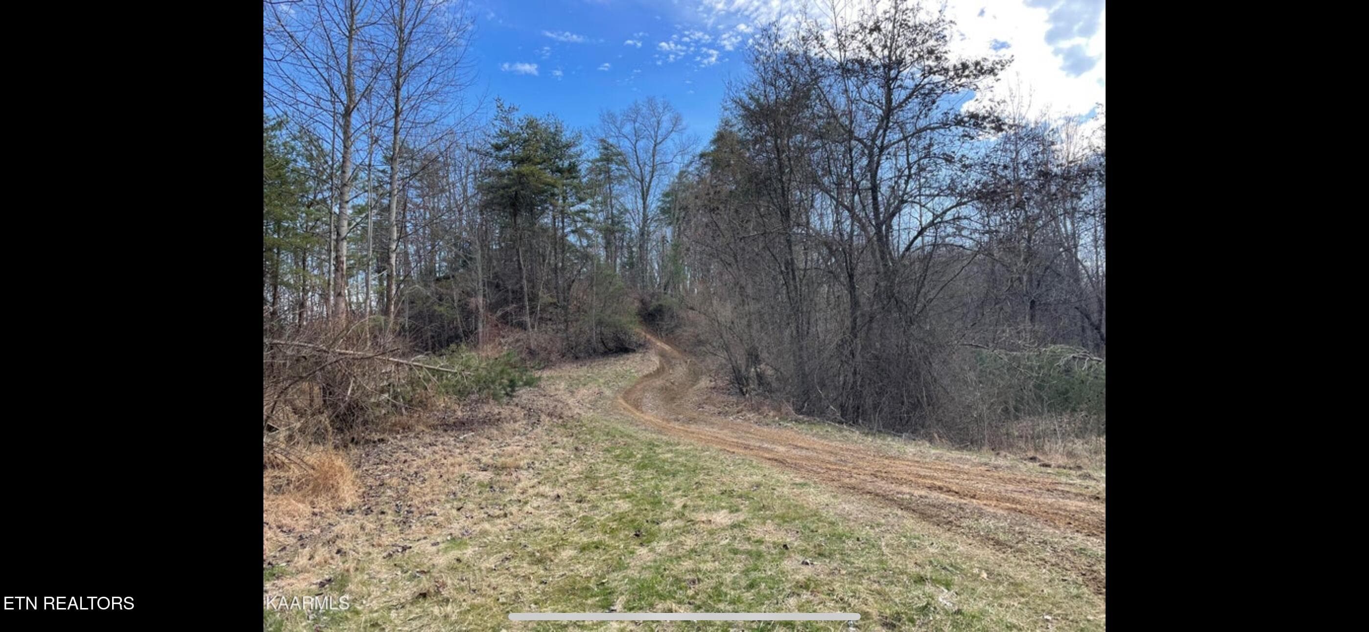 IMG_3793 - 150 Timber Oaks Lane, Pioneer, TN 37847, Pioneer