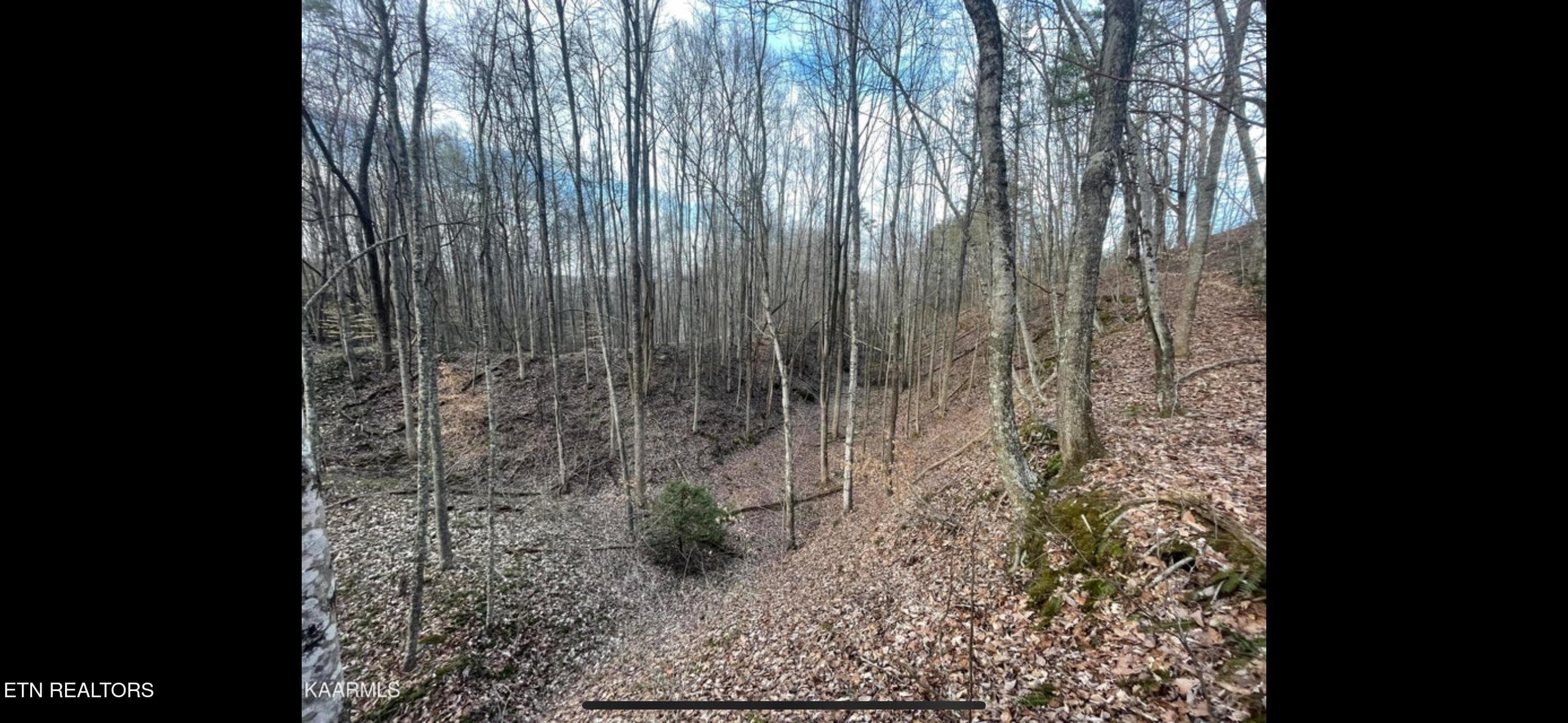 IMG_3795 - 150 Timber Oaks Lane, Pioneer, TN 37847, Pioneer