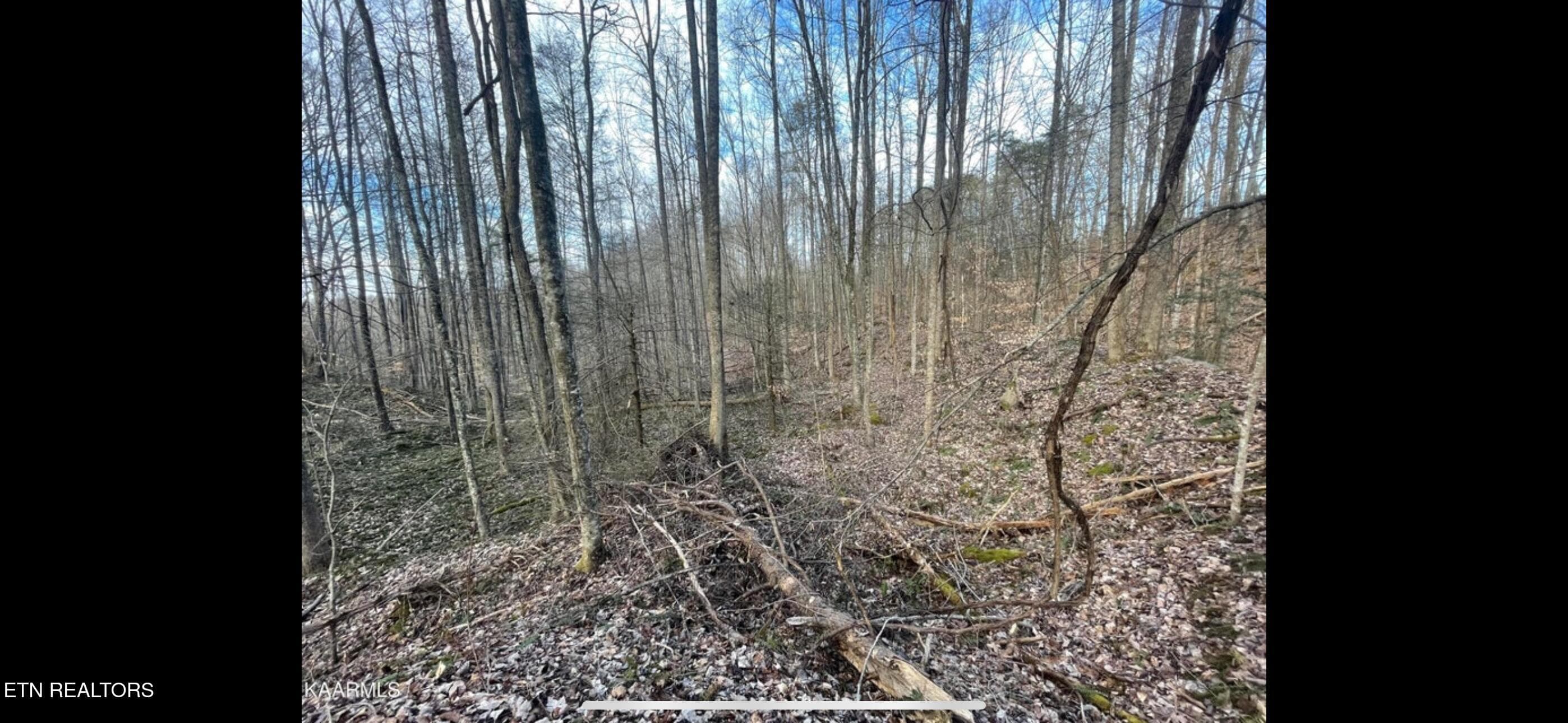 IMG_3796 - 150 Timber Oaks Lane, Pioneer, TN 37847, Pioneer