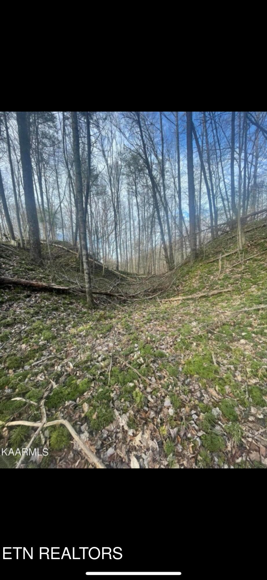 IMG_3798 - 150 Timber Oaks Lane, Pioneer, TN 37847, Pioneer