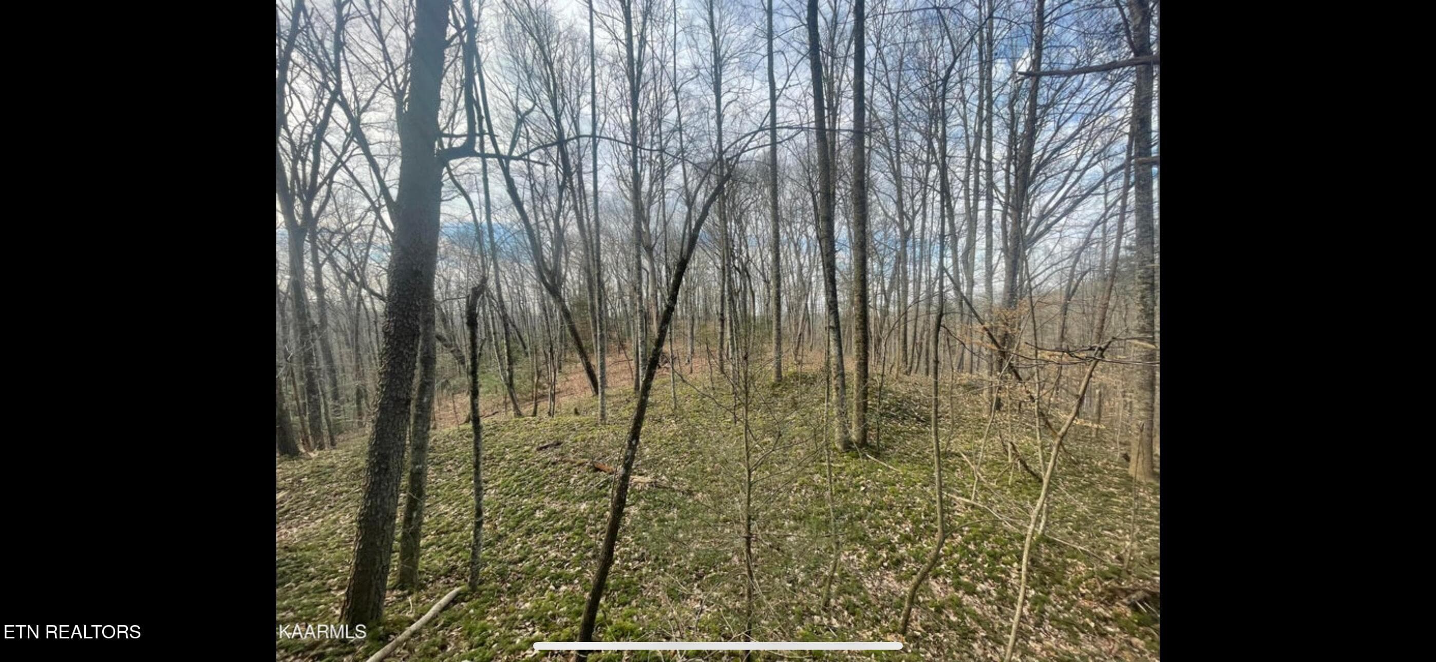 IMG_3800 - 150 Timber Oaks Lane, Pioneer, TN 37847, Pioneer