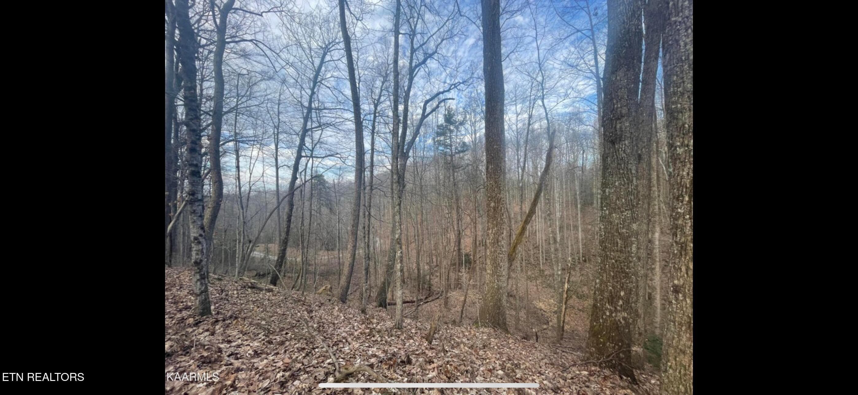 IMG_3804 - 150 Timber Oaks Lane, Pioneer, TN 37847, Pioneer