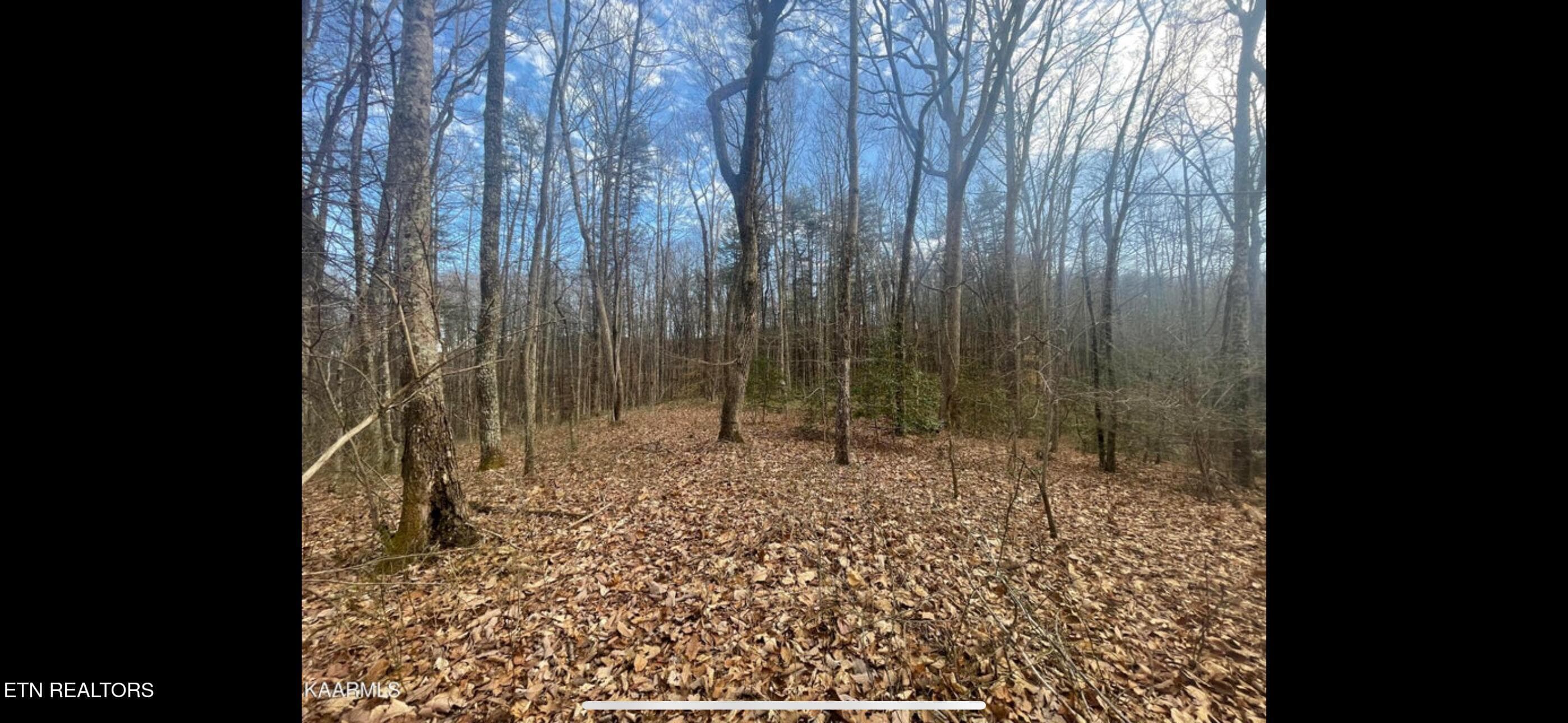 IMG_3805 - 150 Timber Oaks Lane, Pioneer, TN 37847, Pioneer