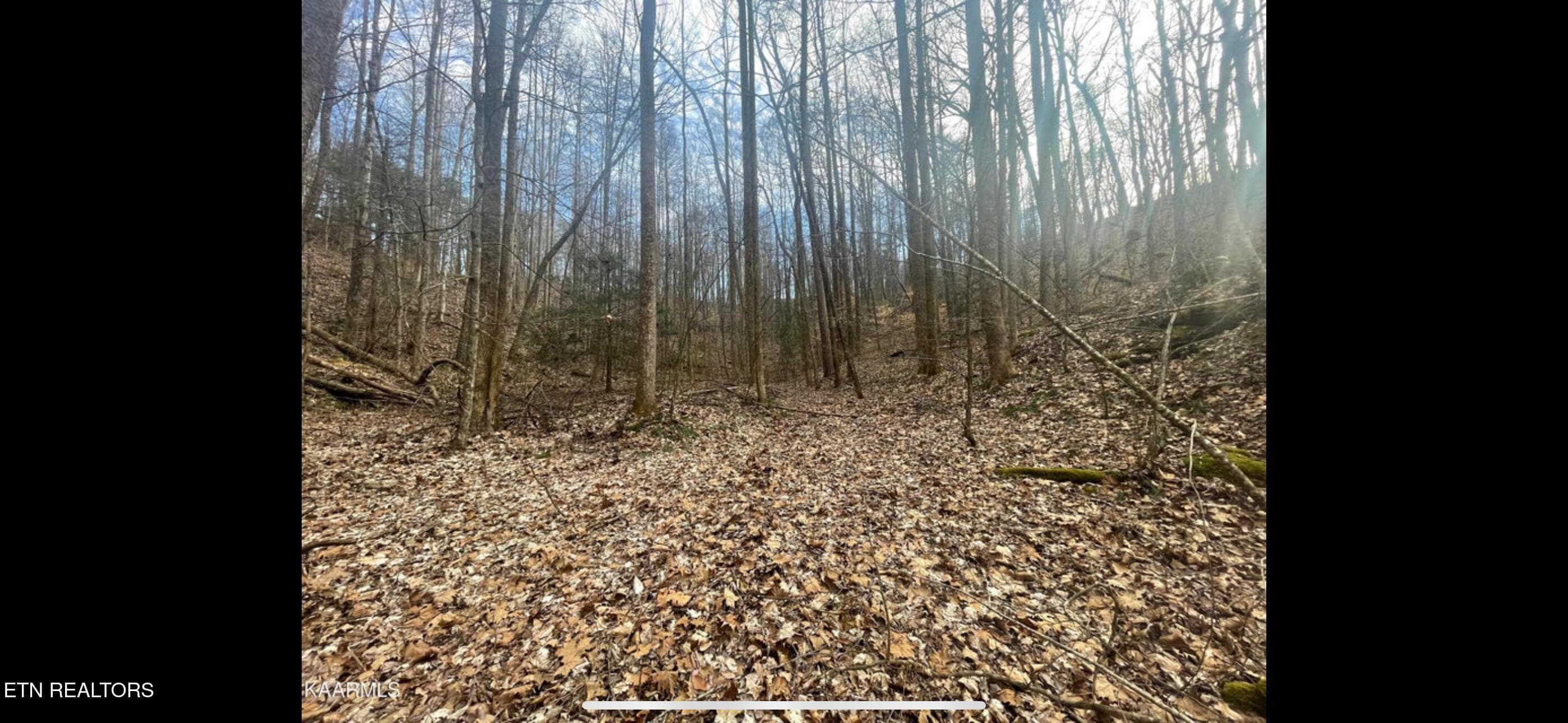 IMG_3806 - 150 Timber Oaks Lane, Pioneer, TN 37847, Pioneer