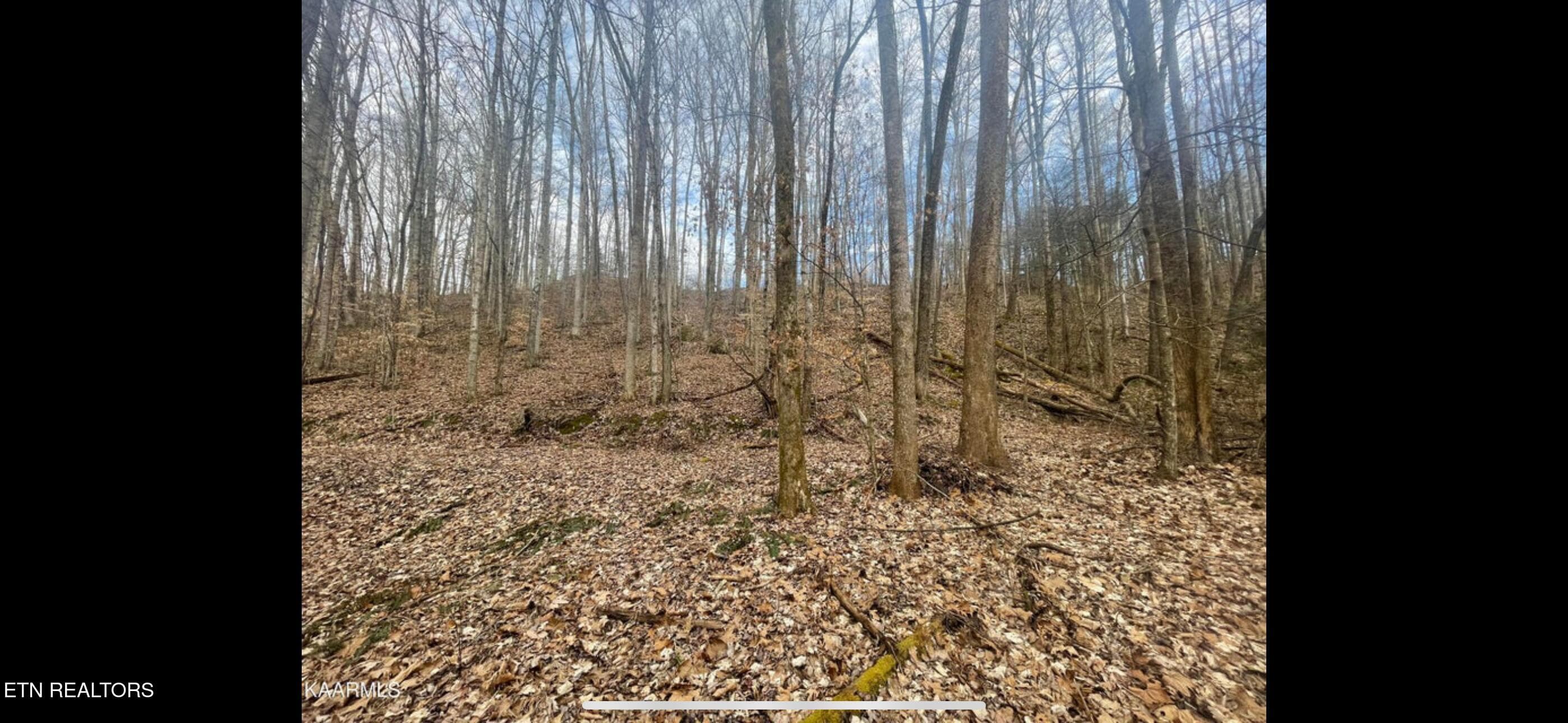 IMG_3807 - 150 Timber Oaks Lane, Pioneer, TN 37847, Pioneer