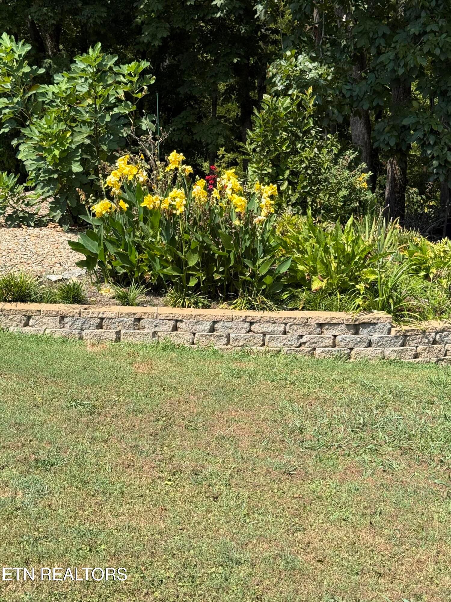 IMG_20260907_082616 - 841 Knight Rd, Knoxville, TN 37920