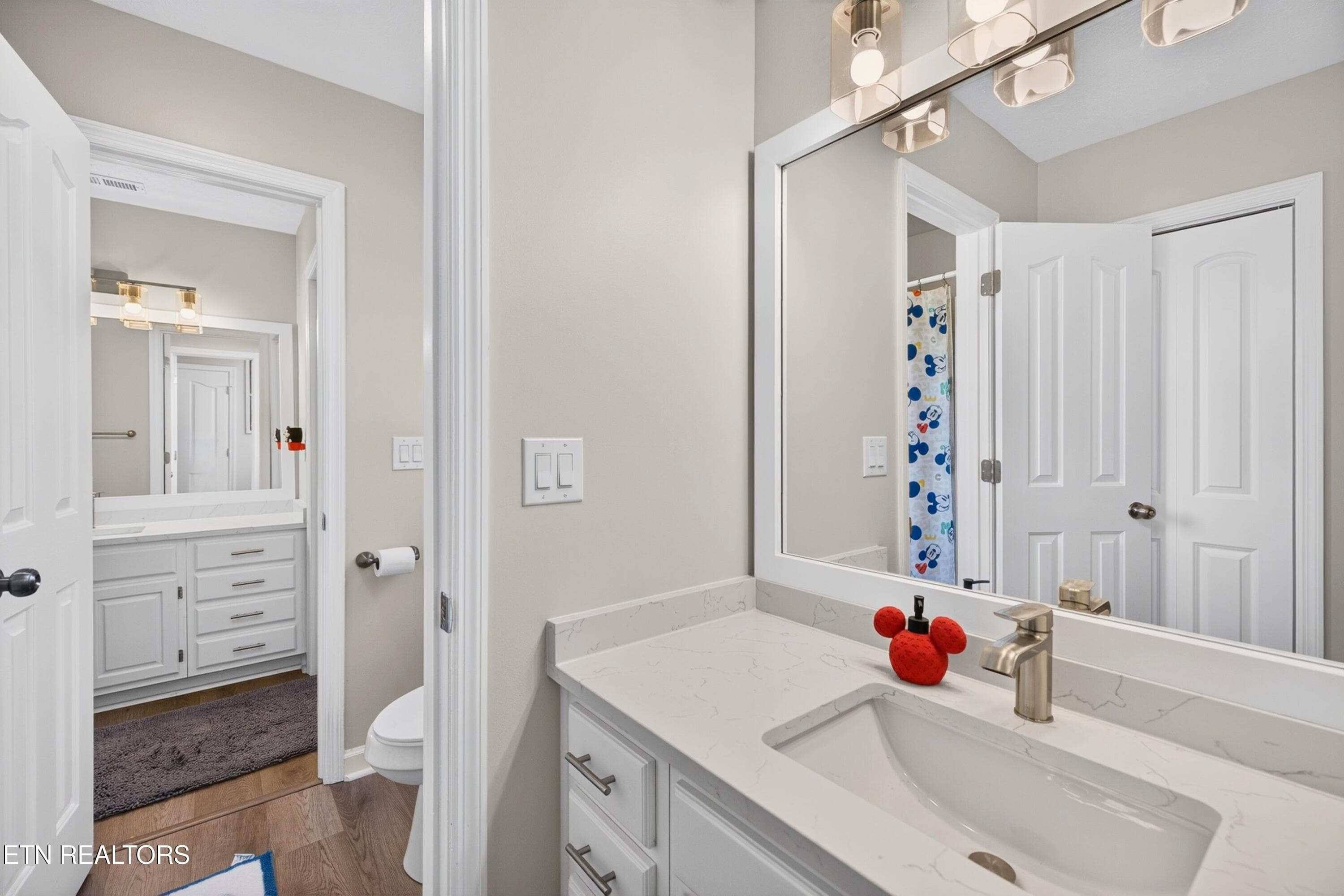 015-313SonnettCourt-Kingsport-TN-37664-S - 313 Sonnett Court, Kingsport, TN 37664
