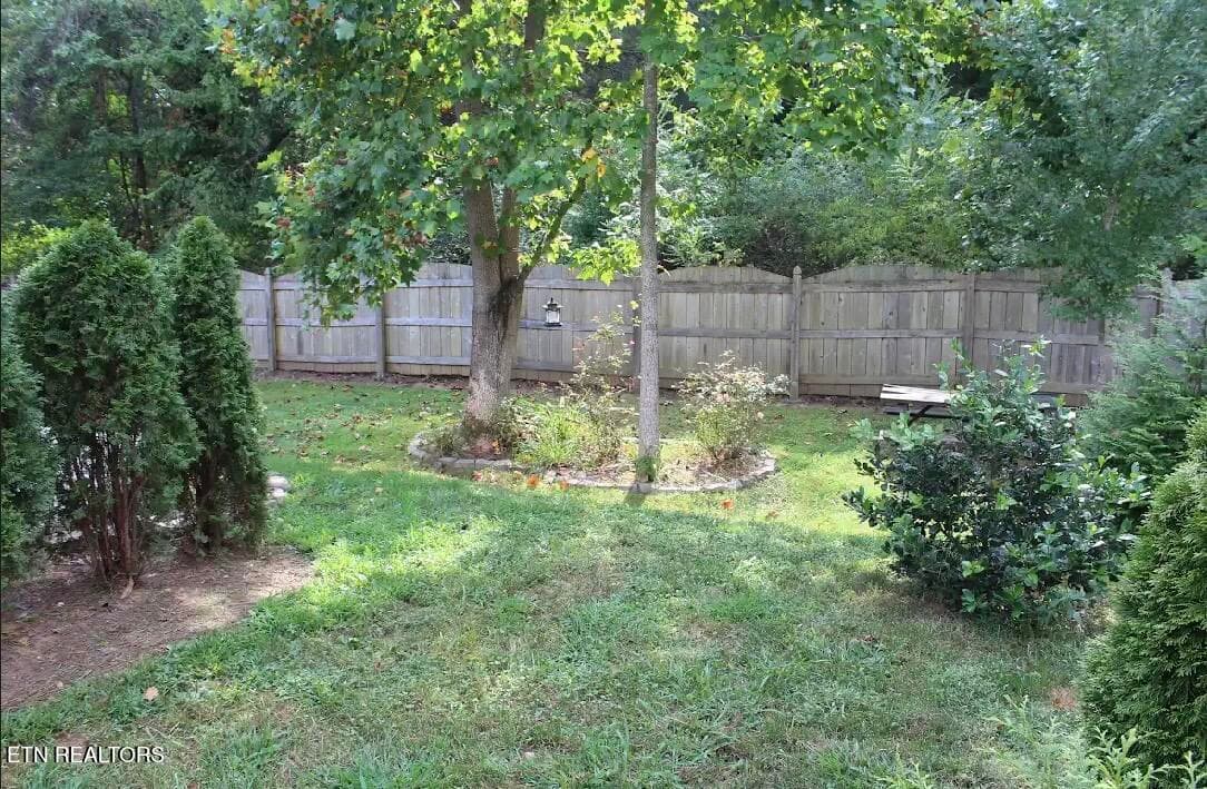 Great yard - 5929 Rain Cloud Rd, Knoxville, TN 37918