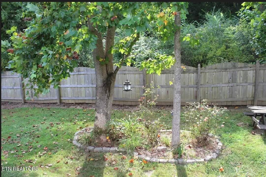 Lot of landscaping - 5929 Rain Cloud Rd, Knoxville, TN 37918
