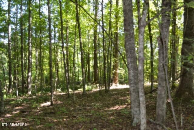 3ac Rock Springs Rd, Celina, TN 38551