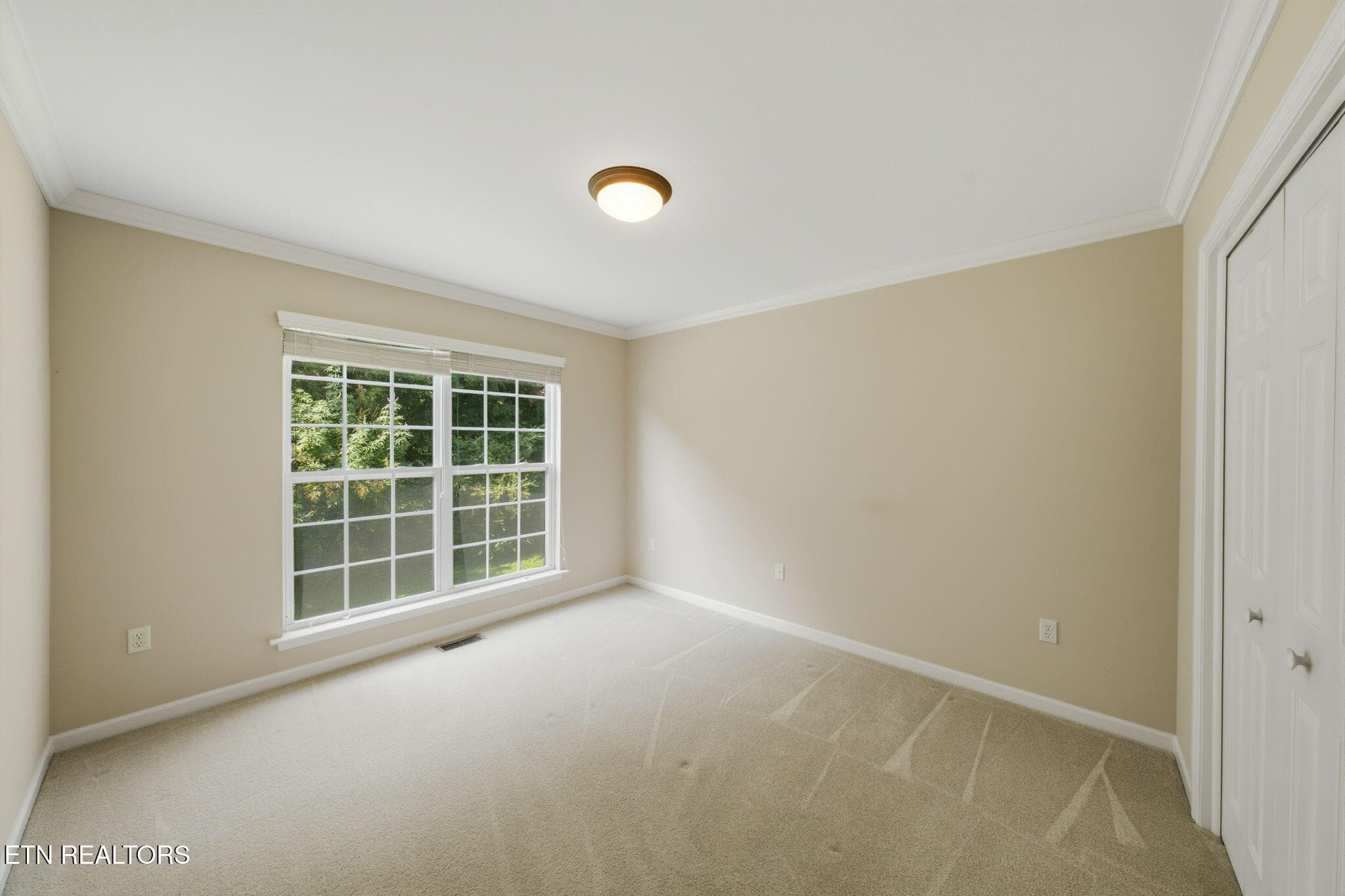 2nd Bedroom Main Level - 1721 Bombay Lane, Knoxville, TN 37932