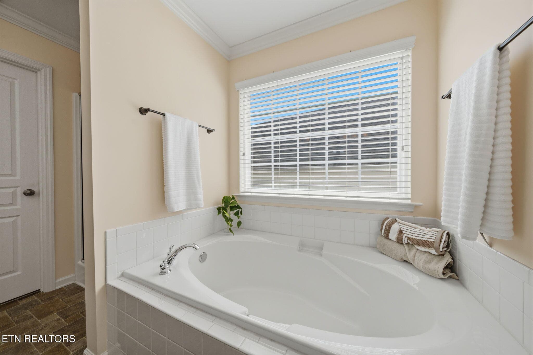 Primary Tub - 1721 Bombay Lane, Knoxville, TN 37932