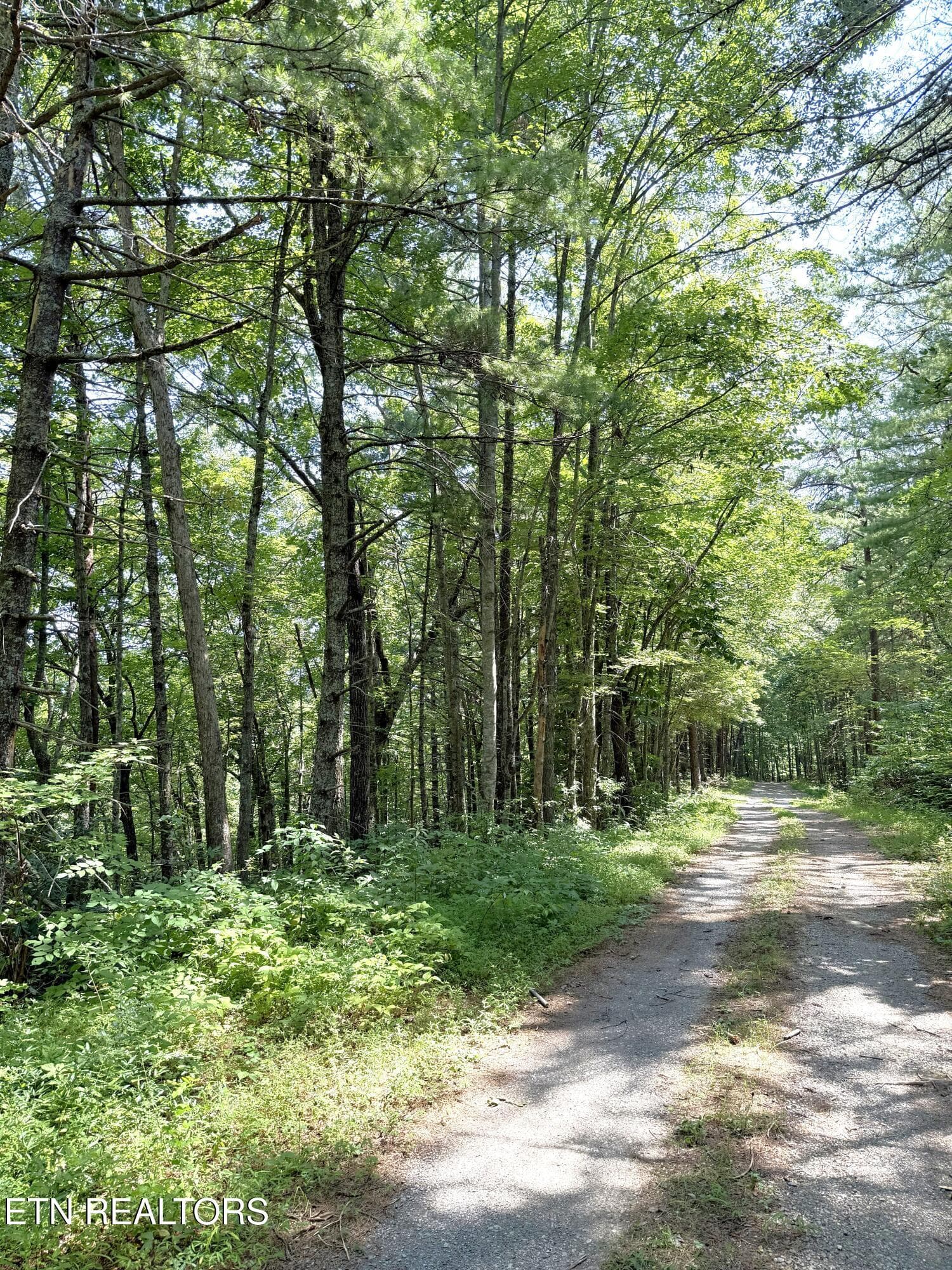 Lot 4 Oakwood Rd, Walland, TN 37886